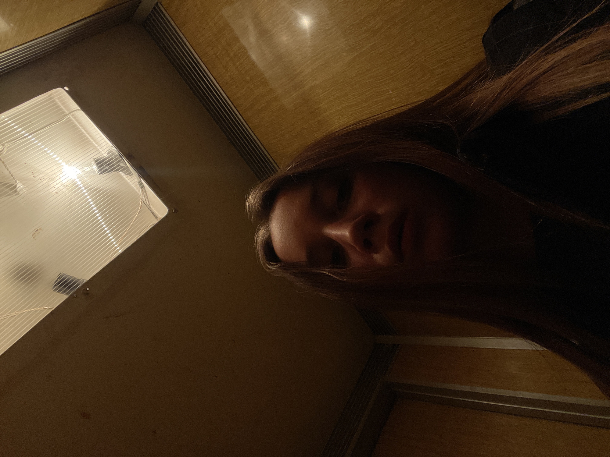 The image captures a low-angle indoor scene in the city of Chaikovsky, Russia, centered on a young individual taking a selfie. A person, appearing female, occupies the lower half of the frame, looking directly downwards towards the camera, which is positioned below eye level. She has long, straight, light brown or auburn hair that falls over her shoulders. Her face is partially obscured by shadows, with an overhead light source illuminating her forehead and the bridge of her nose, while her eyes and the area under her chin remain in deeper shadow. Her lips are slightly parted, and she wears a dark-colored garment.
The surrounding environment consists of walls paneled with a light brown or golden-brown material, exhibiting a vertical wood grain texture. The wall on the right displays a reflective surface with a distinct highlight from the overhead light. Horizontal dark, ribbed trim strips are present near the ceiling line on both the left and right walls. The upper portion of the frame is dominated by a rectangular overhead light fixture with a translucent, ribbed cover, through which a bright, illuminated bulb or tube is visible, acting as the primary light source. The ceiling area immediately surrounding the light fixture appears to be a darker frame or bulkhead, while the rest of the visible ceiling is uniformly dark. The overall illumination of the scene is dim, with strong contrast created by the direct light from the overhead fixture.