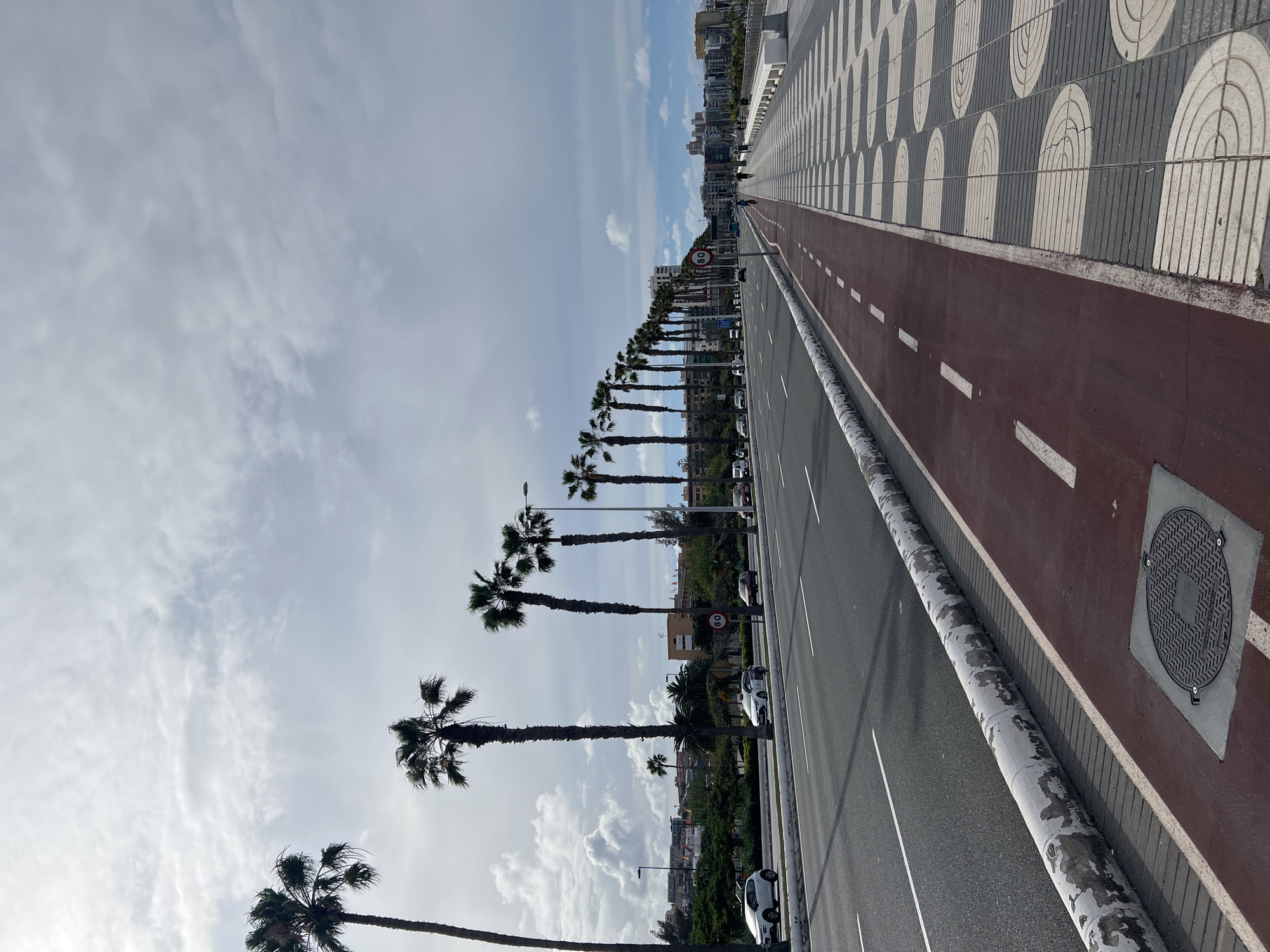 This image captures an elevated road in Las Palmas, Spain, with palm trees lining the left side. The road features two lanes, a red bike path, and a sidewalk with a circular pattern design. A row of tall palm trees separates the road from the city skyline. The sky is partly cloudy with patches of blue visible. There are some cars parked along the road and a speed limit sign in the background.