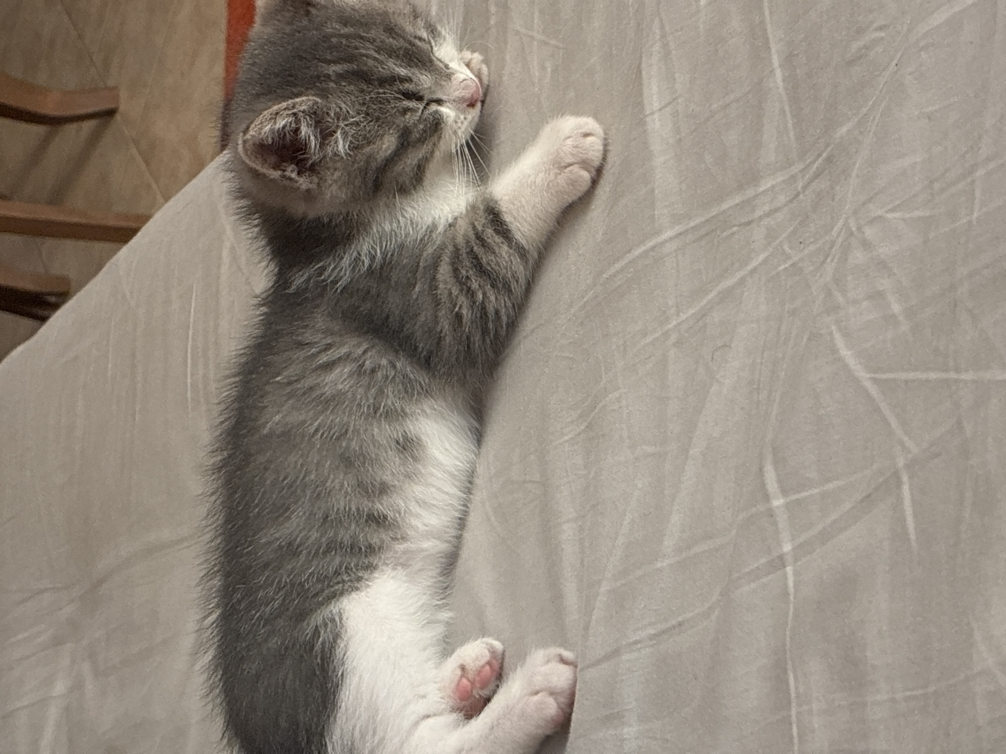 A gray and white tabby kitten is sleeping on a textured, light brown surface, likely a blanket or bedspread. The kitten is curled on its side with its eyes closed and its nose tucked into its paw. Its fur is short and appears soft. The background shows a blurred image of wooden chair legs and tile flooring, suggesting an indoor setting. The overall scene is peaceful and domestic. The image does not provide any information about a specific city or location.
