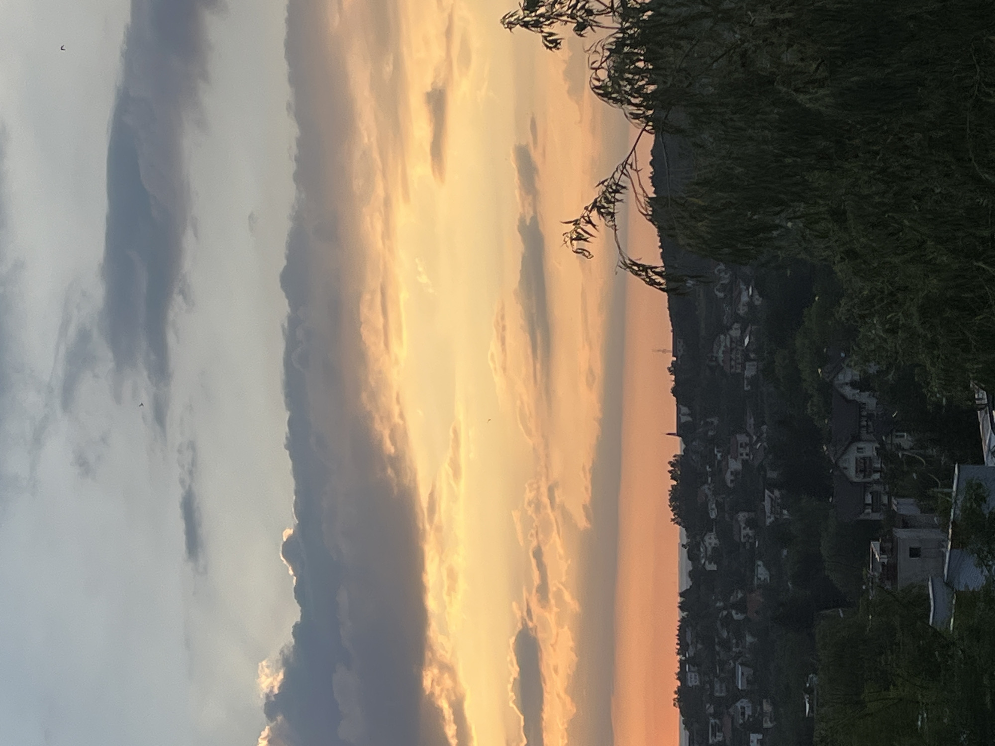 A wide-angle, high-angle shot shows a sunset over a residential area. The sky is filled with clouds in shades of gray, white, and orange, with a bright orange glow near the horizon. The sun is not visible. Below the sky is a dark, hilly landscape covered in trees and houses. The houses are of various sizes and architectural styles, with red-tiled roofs visible on some. The trees are dense, creating a dark green canopy over the houses. In the foreground, on the right side of the frame, is a large tree with drooping branches and green foliage, obscuring part of the view of the town. In the distance, a body of water or a large expanse of flat land is visible at the horizon, beneath the orange glow of the sunset. A few birds are visible as small dark specks in the sky. The overall impression is one of a peaceful, rural evening scene.