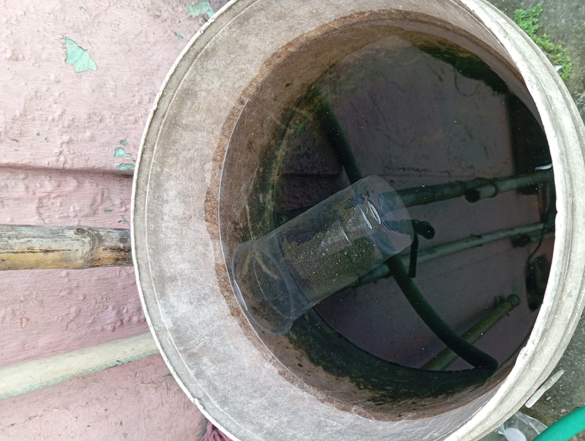 An overhead, close-up, slightly angled shot shows the interior of a large, light-colored bucket filled with dark, murky water. The bucket has a weathered, possibly plastic or concrete, exterior with some dirt and staining visible on its rim and interior walls, which are also lined with a dark green algae-like growth. Submerged in the water are at least two green hoses and a clear plastic cup, which is partially filled with water and appears to be covered in sediment and algae. The water is not clear, and small particles are visible floating within it. The background consists of a textured, pinkish-colored wall, with a section of a bamboo pole and a lighter-colored pipe or pole visible vertically on the left side of the frame. The overall impression is one of a stagnant water container, potentially used for storage or as a water source in a residential or outdoor setting. The presence of algae and sediment suggests the water has been in the bucket for some time and is likely not regularly cleaned or filtered. This scene could be located in a backyard or utility area within the city of Nogosari, Indonesia, where such containers might be used for collecting rainwater or storing water for household use.