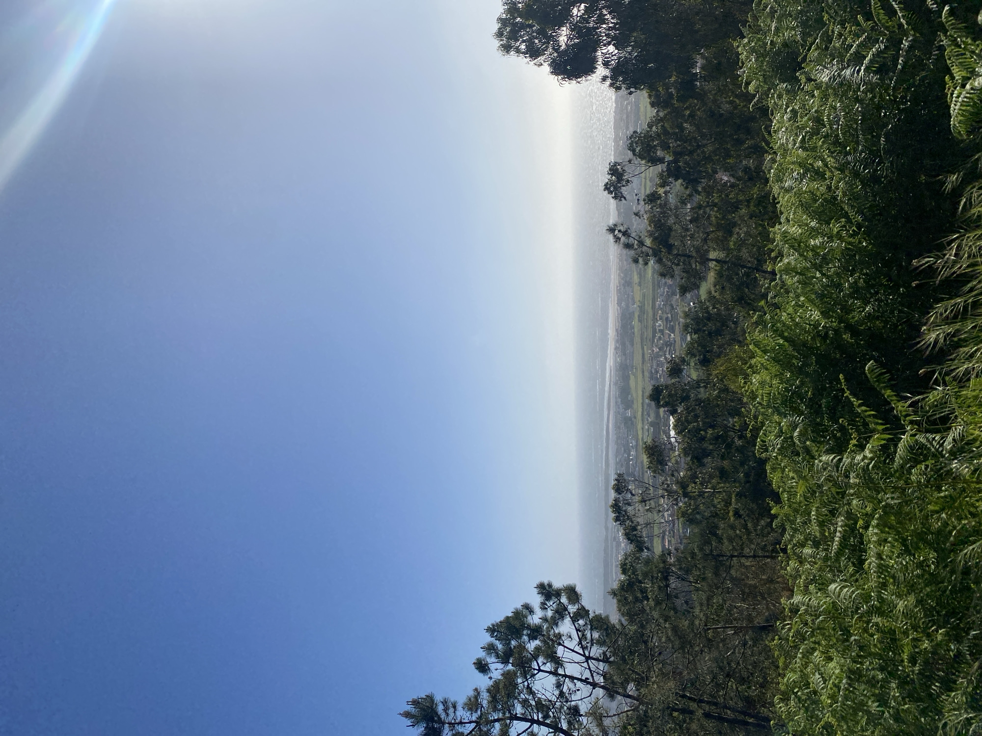 The photograph captures a landscape view from a high vantage point. The sky transitions from a deep blue on the left to a lighter, hazy blue towards the center and right of the frame. A lens flare is visible in the upper left corner. In the middle ground, a valley stretches out, revealing patches of green fields and a network of buildings suggesting a town or city. In the foreground, dense green vegetation fills the right side of the image, contrasting with the open sky and distant landscape. The composition is somewhat unbalanced due to the camera's orientation, with the sky dominating the left side and the vegetation dominating the right. The location is the city of Esposende, Portugal.