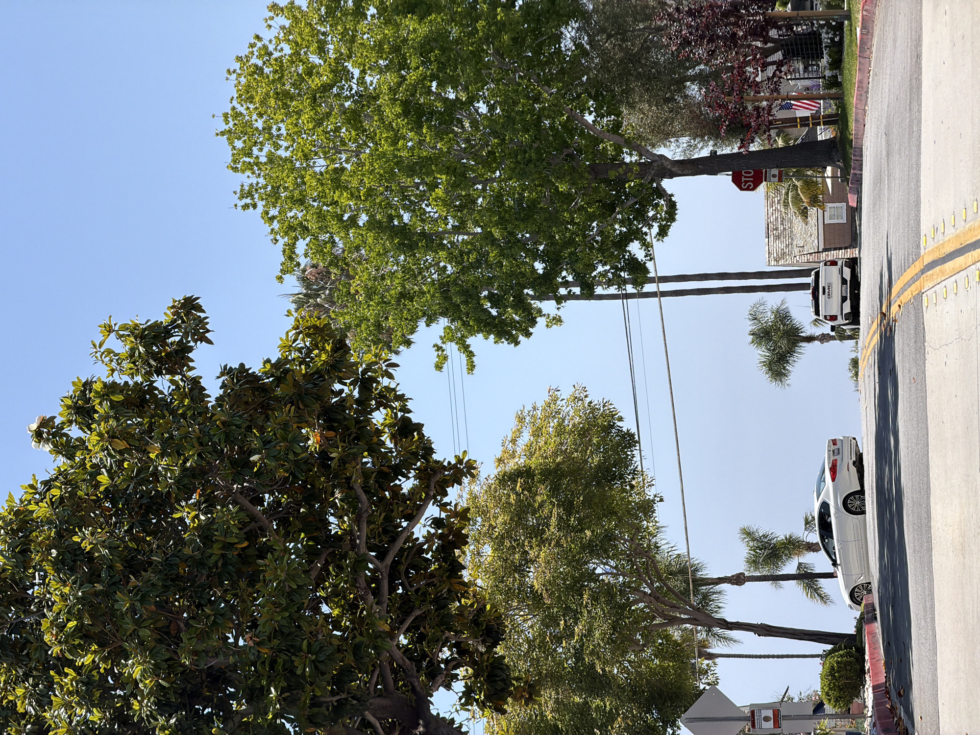 The image depicts a street scene in Newport Beach, California, United States of America. The street runs perpendicular to the view, with a light-colored concrete sidewalk on the right edge of the frame. A yellow painted line marks the edge of the street. Two vehicles, a white car and a white GMC truck, are parked along the street. Palm trees and leafy green trees line the street. A stop sign is visible near the truck. Power lines run above the street. An American flag is partially visible in the background, indicating residential properties. The sky is clear and blue.