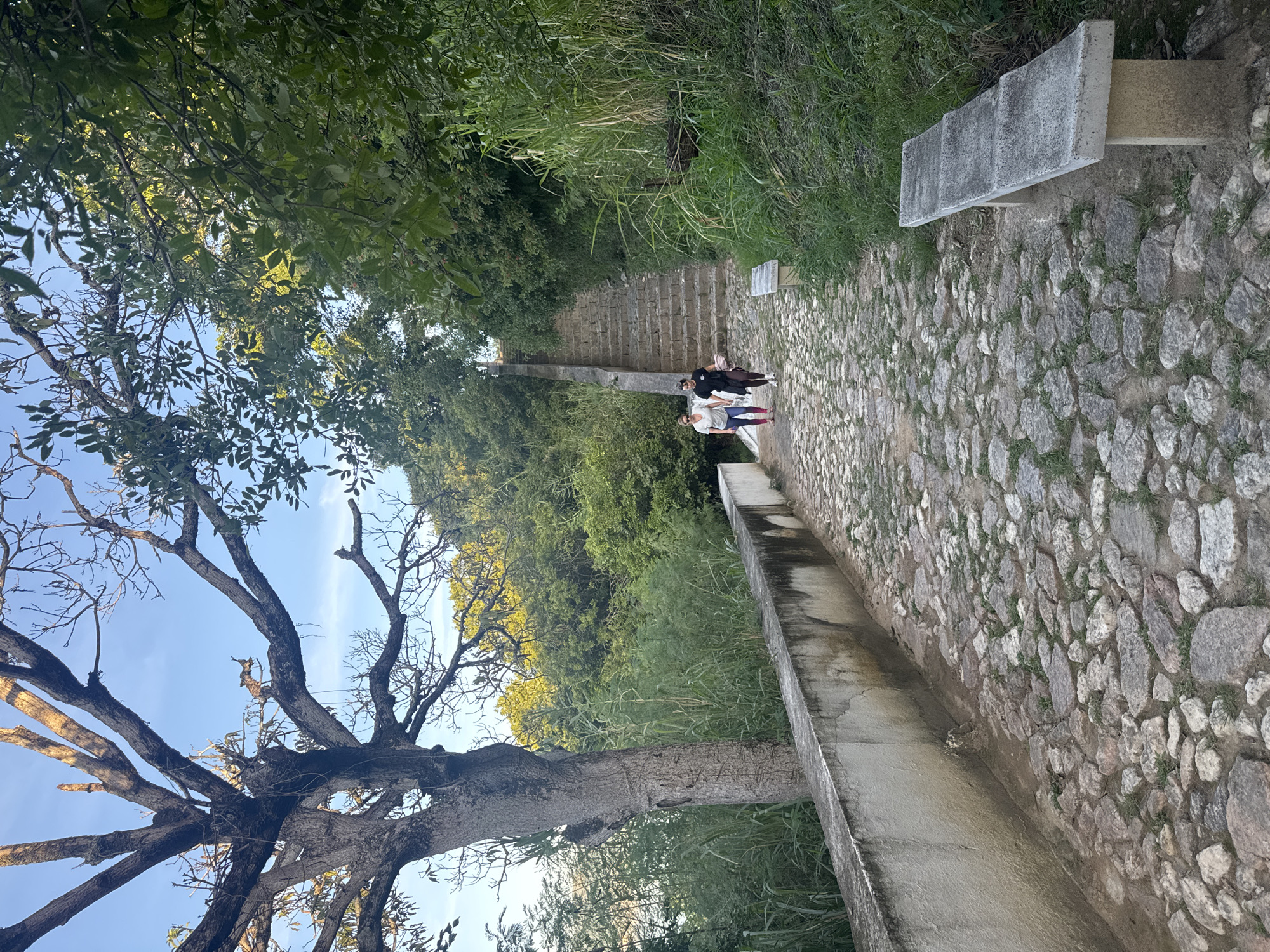 Two women walk along a cobblestone path beside a stone wall in the Parque da Cidade, located in the city of Niterói, Brazil. The path is lined with tall green grass and a large tree with bare branches on the left. Ahead, a stone staircase ascends a hill, surrounded by lush green foliage. A concrete bench is visible on the right side of the path. The sky is clear blue with a few wisps of clouds.