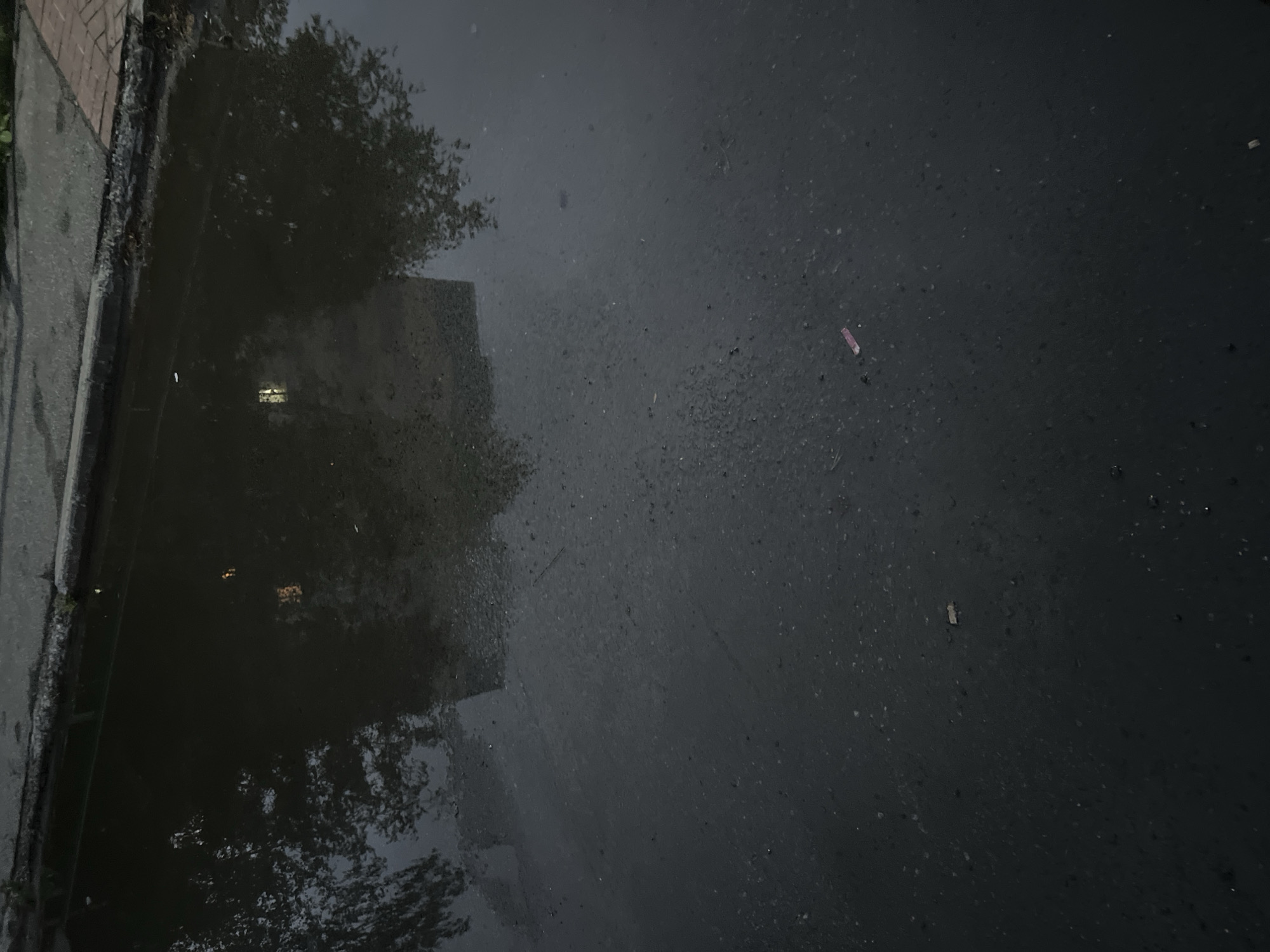 The image shows a puddle of water on an asphalt surface, likely a street or sidewalk in Surgut, Russia. The water reflects the dim light of what appears to be a building with illuminated windows and surrounding trees. The asphalt is dark and wet, with small pebbles visible. There are a few small pieces of debris scattered on the surface of the puddle and the asphalt, including what appears to be a discarded cigarette butt and a small piece of pink paper. The scene suggests an outdoor urban environment at dusk or in low light conditions.