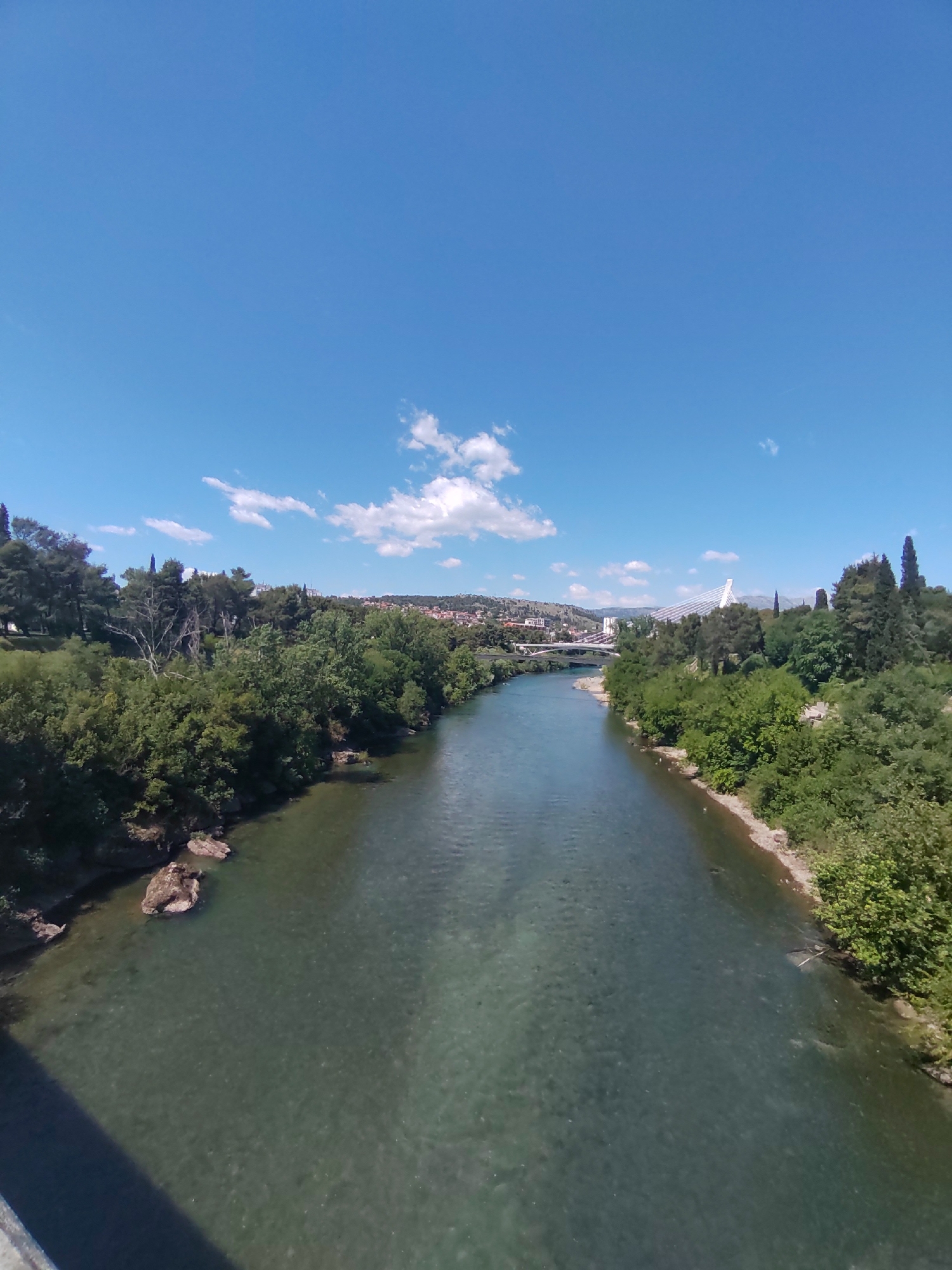 The image shows a river flowing through Podgorica, Montenegro. The river is the Morača, and it flows from the foreground to the background of the image. Along the banks of the river are dense trees and vegetation. In the background, there are buildings and structures visible, including the Millennium Bridge, a cable-stayed bridge across the river. The sky is clear blue with a few scattered clouds. The perspective is from an elevated position, likely from another bridge or high vantage point.