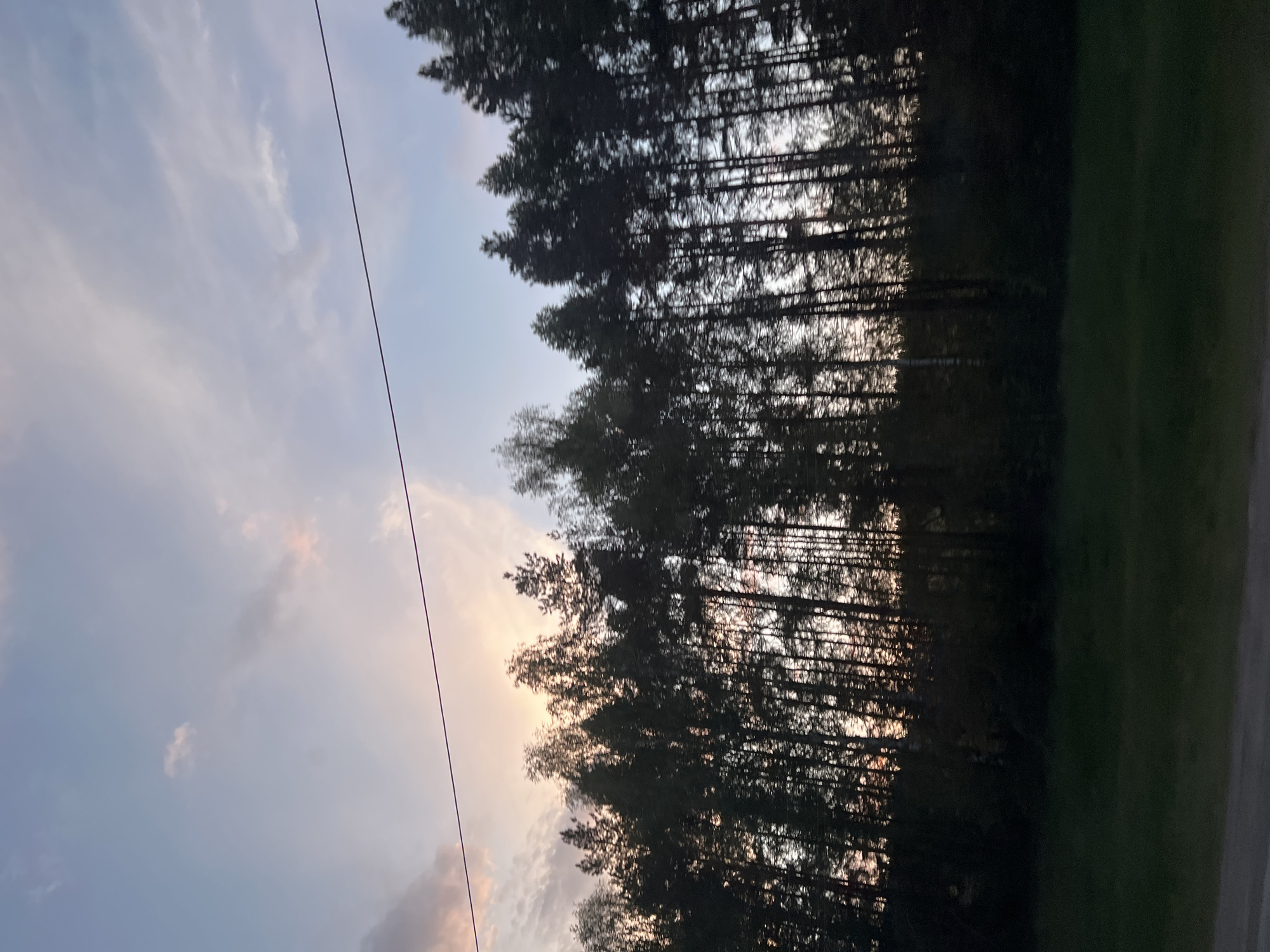 The image, oriented vertically, shows a view in Старое Мартьяново, Russia. The sky is light blue with scattered, light-colored clouds. A thin, dark electrical wire runs diagonally across the left side of the frame. A dense row of trees, silhouetted against the sky, stretches across the center of the image, with their tops dominating the upper portion. Sunlight appears to be filtering through the trees. To the right, a dark green area, possibly vegetation or a grassy field, fills the bottom right corner. The overall scene appears to be taken at dusk or dawn.