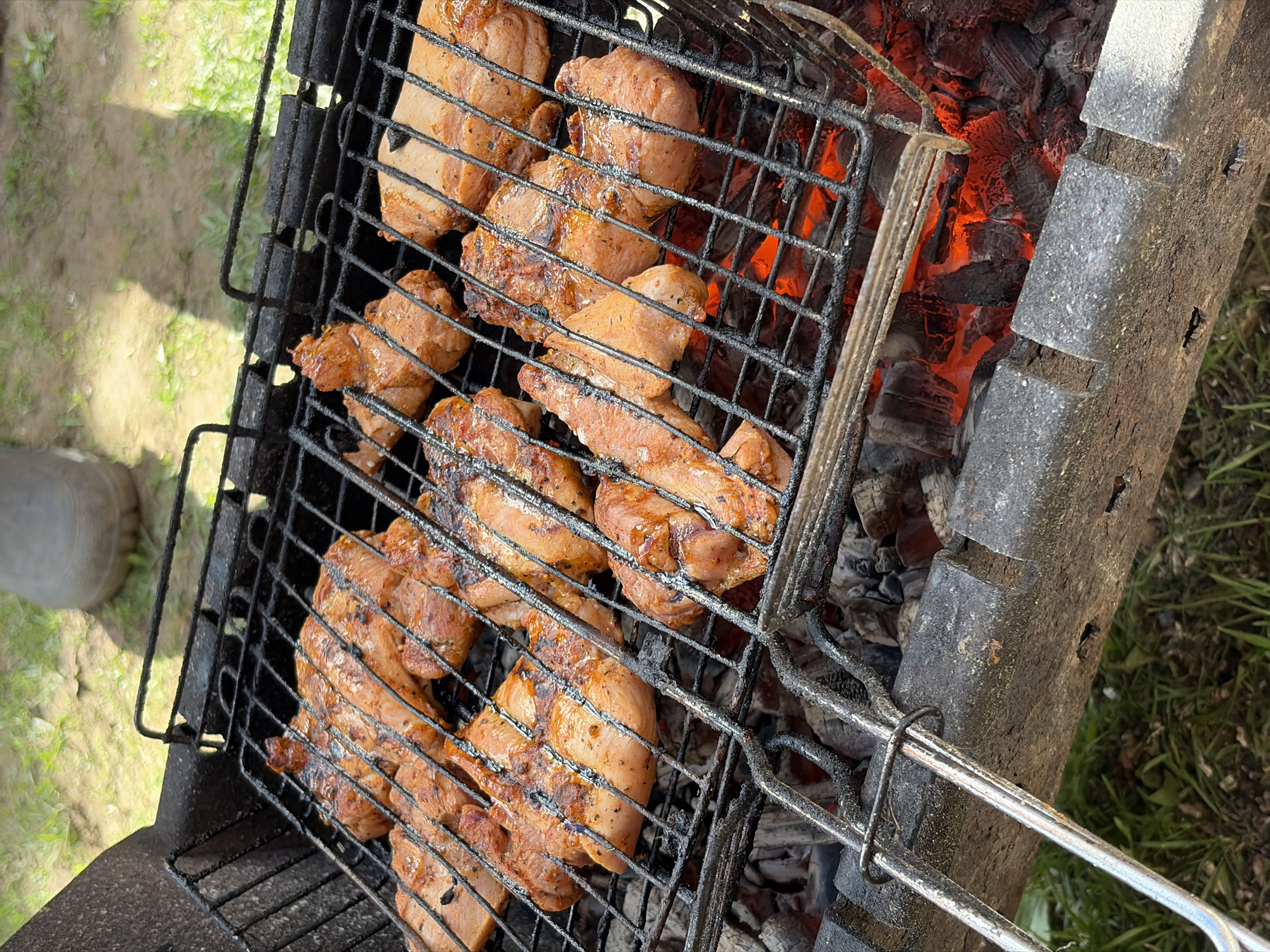 A close-up, high-angle shot shows pieces of meat grilling over hot coals. The meat is contained within a hinged wire grilling basket, which is positioned over the coals inside a metal grill. The coals are glowing red and surrounded by ash. The grill is set outdoors on a surface that appears to be a mixture of grass and gravel. The location is in Nizhnii Vishur, Russia.