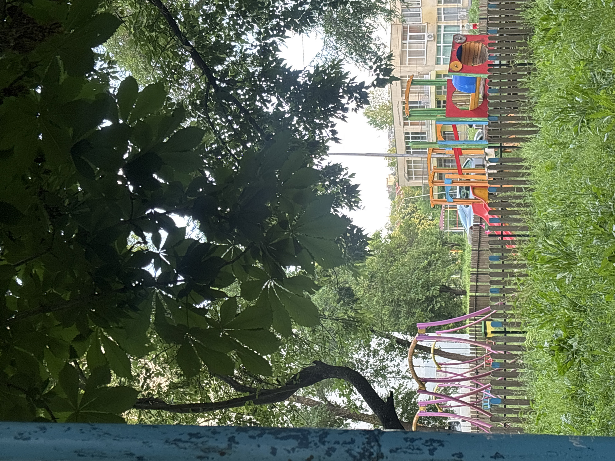 This image depicts an outdoor scene within the city of Dobrich, Bulgaria, featuring a children's playground partially obscured by dense foliage. The foreground on the left is framed by a vertical, weathered blue structural element with chipped paint. The lower half of the image is dominated by an expanse of tall, unkempt green grass and various weeds.
A wooden picket fence, consisting of dark pickets with some featuring faded blue and yellow painted tops, runs horizontally across the mid-ground, separating the grassy area from the playground. Behind the fence, on the left, a set of swings is visible, characterized by arched metal frames painted in pink/purple and yellow hues, with several swing seats suspended. To the right of the swings, a multi-component, brightly colored playset is present, featuring a red slide, a yellow slide, green support structures, a blue cylindrical tunnel, and a red wooden tunnel-like structure, all constructed from a combination of wood and plastic/metal elements.
In the background, beyond the playground, multiple-story buildings with numerous windows and balconies are visible, suggesting residential or mixed-use architecture. The building on the right has a light, possibly beige, facade and air conditioning units are affixed to its exterior. A silver car is parked behind the playset, and another vehicle is partially visible further to the left. A slender, light-colored pole, possibly a streetlight or utility pole, stands vertically in the mid-right background. Faint outlines of distant hills or elevated terrain are visible against the sky.
The upper portion of the image is heavily covered by the dark green canopy of a large tree, identified by its large, palmate leaves (consistent with a horse chestnut). Sunlight filters through gaps in the foliage, creating illuminated patches. A single individual wearing a red top and light-colored shorts is visible in the far right background, walking or standing behind the playset near the buildings. The overall scene suggests a daytime setting with indirect or filtered natural light, indicating an urban or suburban environment.