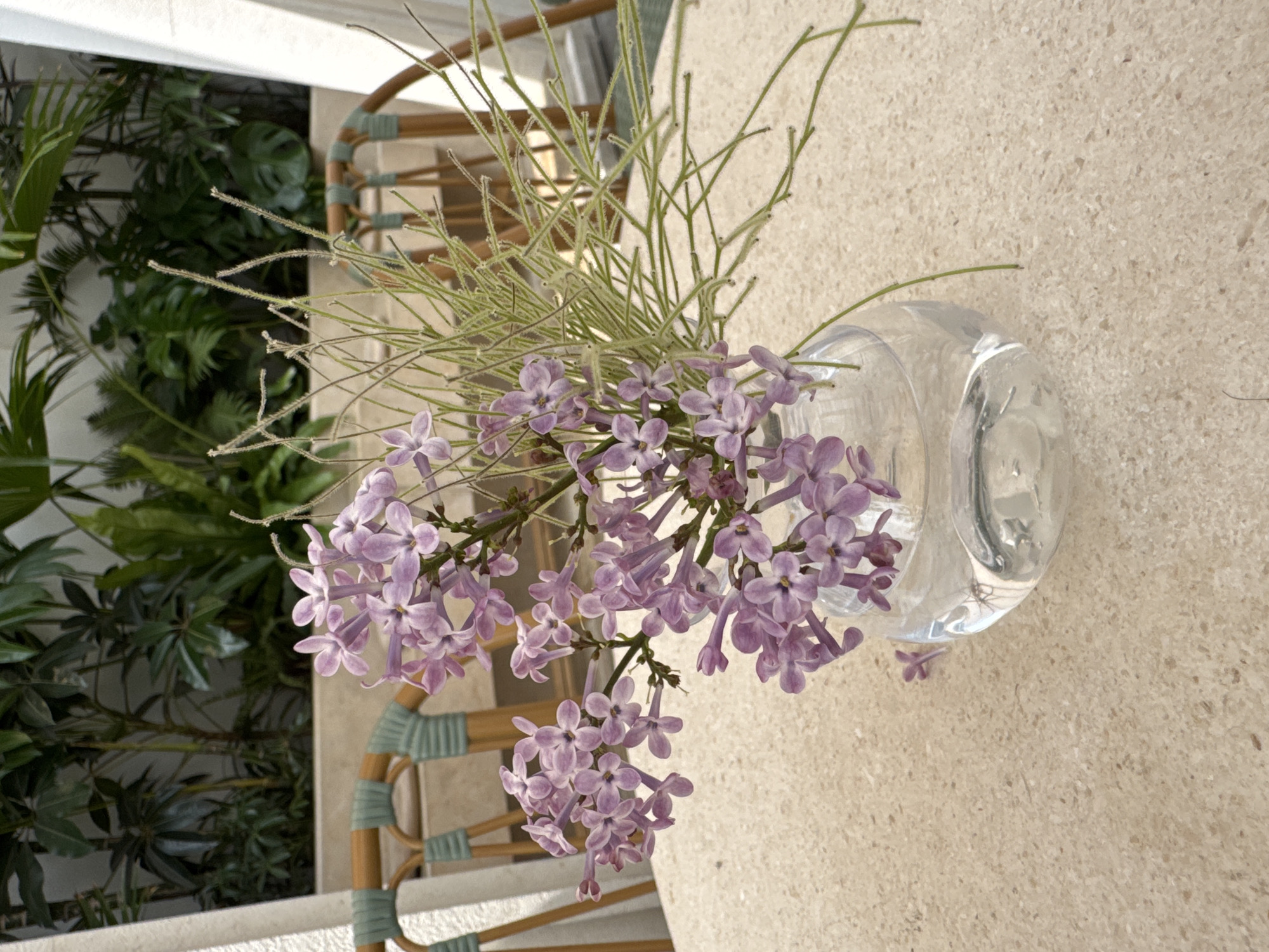A clear glass vase filled with water and containing lilac flowers and thin green stems sits on a light beige textured surface, likely a table. The lilac flowers are a light purple color and hang over the edge of the vase. Behind the table are two chairs with wicker backs and seats, and green accents. To the left, out of focus, is some greenery, suggesting an outdoor setting. The image suggests an outdoor cafe or patio setting. There is no information in the image that suggests the location of the image is in Jinjiang District, China. No people are visible.
