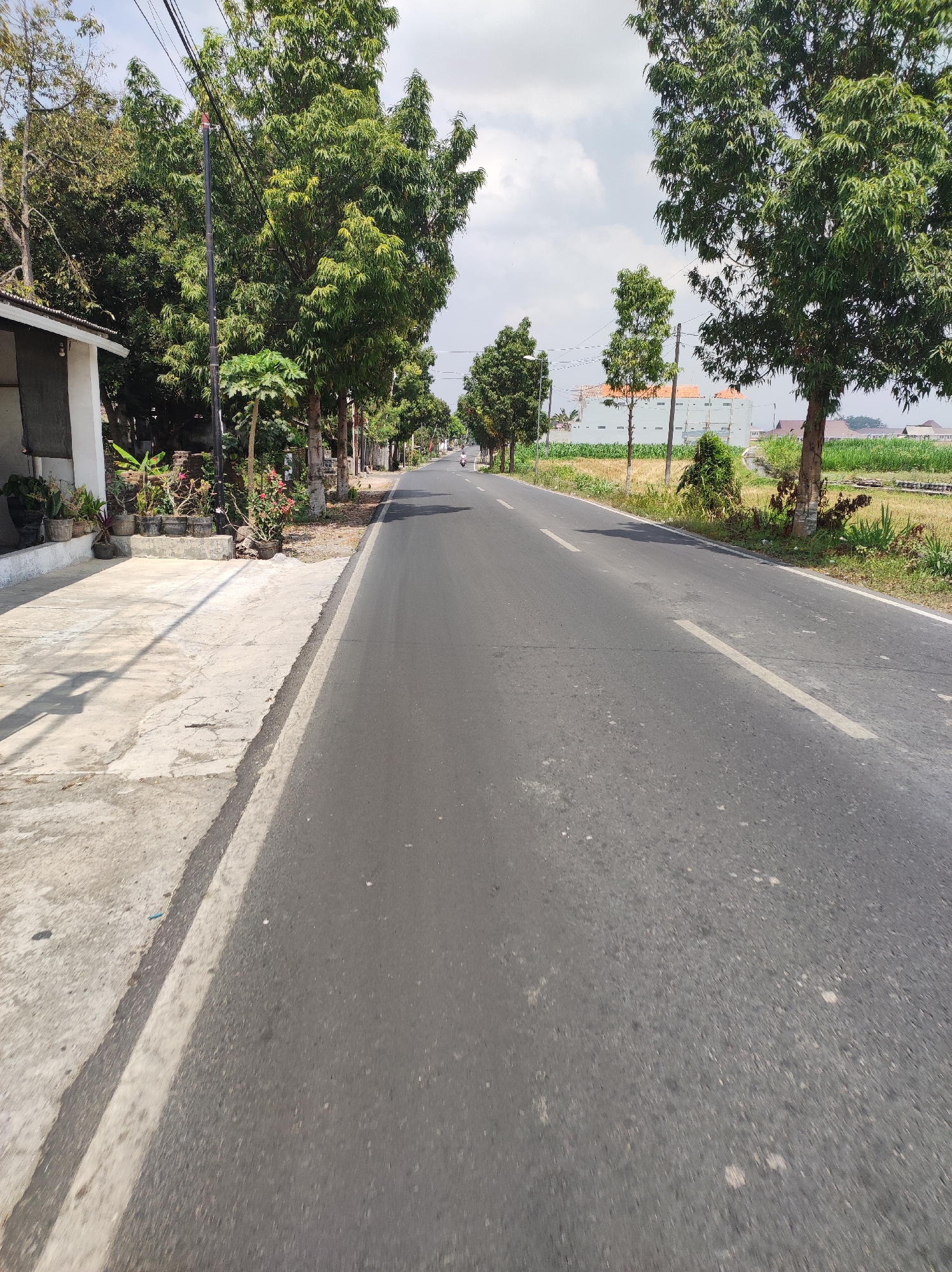 The image depicts a paved road with white lane markings, curving slightly into the distance. The road is lined with mature trees on both sides, some of which bear the signs of utility poles and wires. On the left side of the road, there is a concrete sidewalk and a building with a white exterior and an overhang. Potted plants are arranged along the sidewalk. In the background, beyond the trees, glimpses of houses with orange roofs and green fields are visible. The sky is partly cloudy. A single motorcycle is present on the road in the distance. The overall scene suggests a semi-urban or rural environment in Blitar, Indonesia.