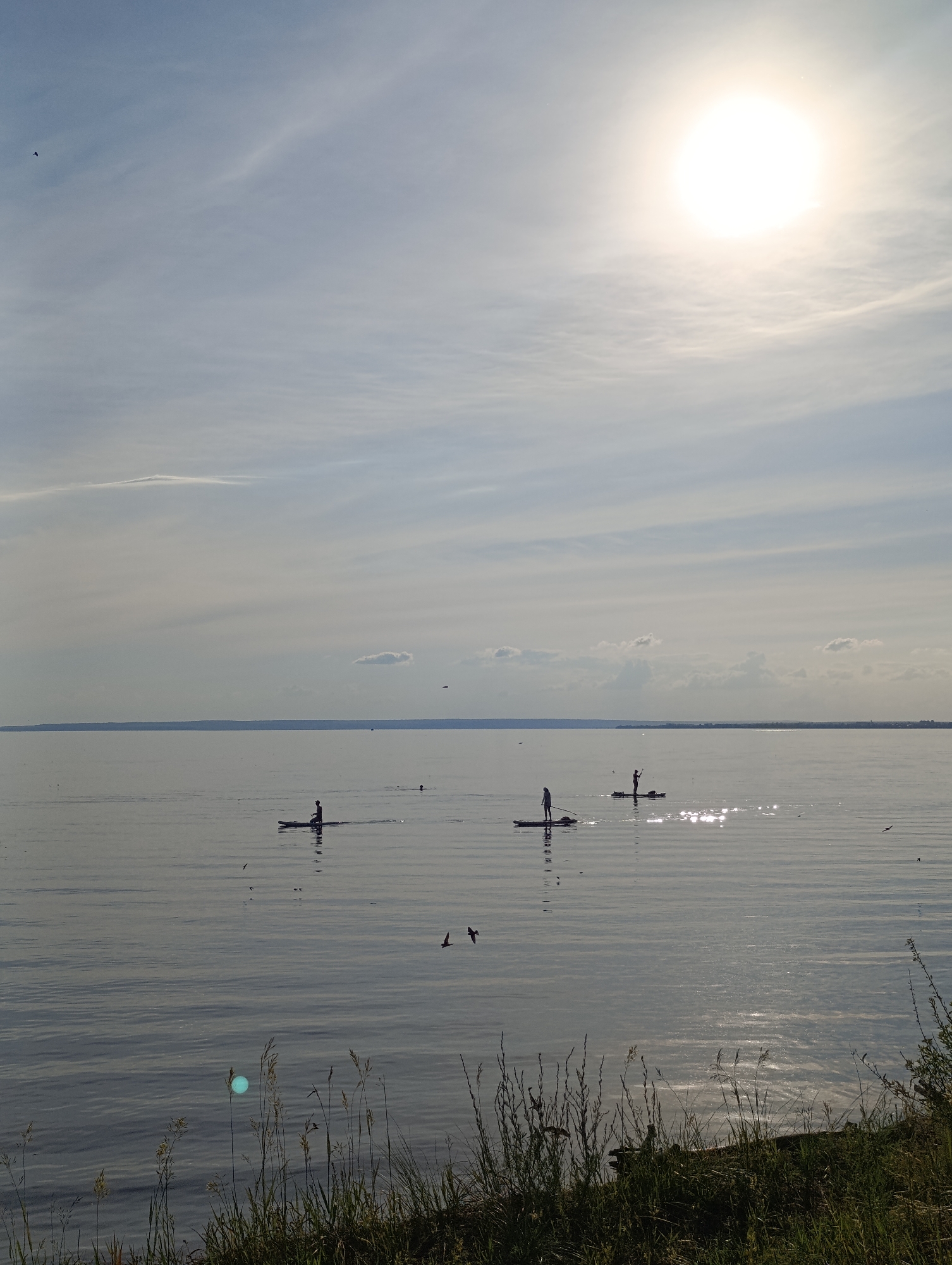 The image shows a wide expanse of calm water under a bright, hazy sun. Several people are paddleboarding on the water, appearing as silhouettes against the bright sky. One paddleboarder is closer to the foreground on the left, while two more are further out in the distance. The horizon is marked by a low landmass, and the sky is a pale blue with wispy clouds. The foreground of the image features tall, dry grass and reeds growing along the water's edge. A few birds are visible in the sky and near the water's surface.