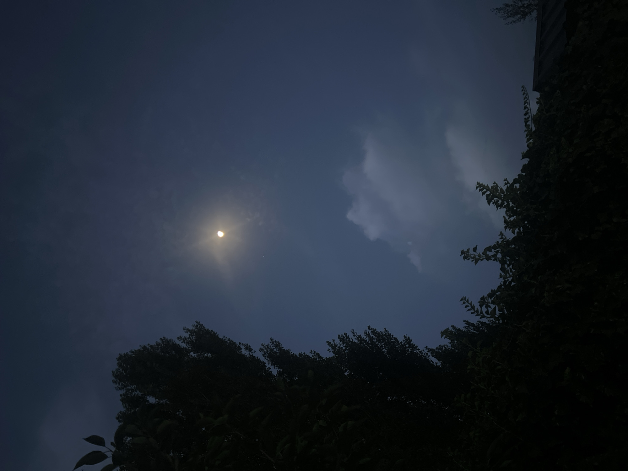 The image depicts a nighttime scene with a dark, cloudy sky and a bright moon partially obscured by clouds. The foreground is dominated by dark silhouettes of trees and foliage, with some leaves visible along the left edge and a dense hedge-like formation at the bottom. A dark, sloped roof structure is visible in the lower right corner. The overall atmosphere is dark and somewhat dramatic, suggesting a natural setting in or near a city at night. There are no people or discernible urban structures other than the roofline. The location is specified as the city of Yusuphana, Uzbekistan.