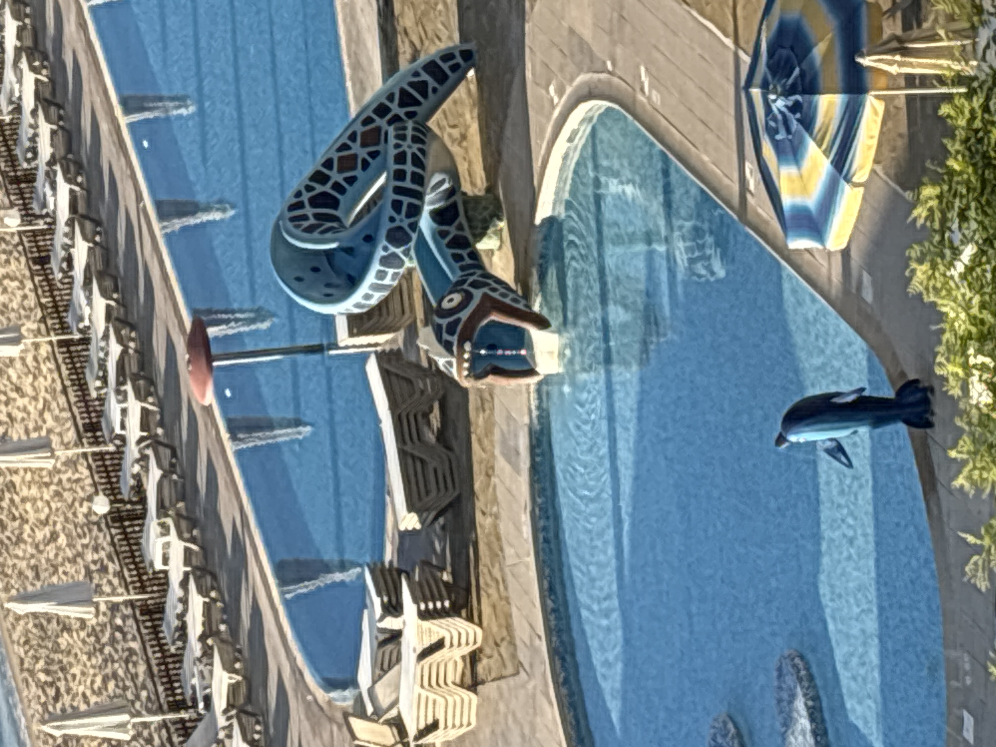 This aerial, high-angle photograph captures a resort scene featuring a swimming pool complex near a beach. The sand of the beach is visible in the background, lined with rows of lounge chairs and umbrellas. Two swimming pools, one larger and rectangular, the other smaller and kidney-shaped, dominate the mid-ground. A blue and patterned water slide, designed to resemble a sea creature, curves into the larger pool. A decorative dolphin statue stands in the shallower, kidney-shaped pool. Several stacks of empty lounge chairs are situated on the paved area surrounding the pools. A striped beach umbrella and another plain umbrella are visible on the right side of the image. The scene appears to be devoid of people, suggesting it is either early in the day or a less busy time at the resort. The location is identified as Varna, Bulgaria.
