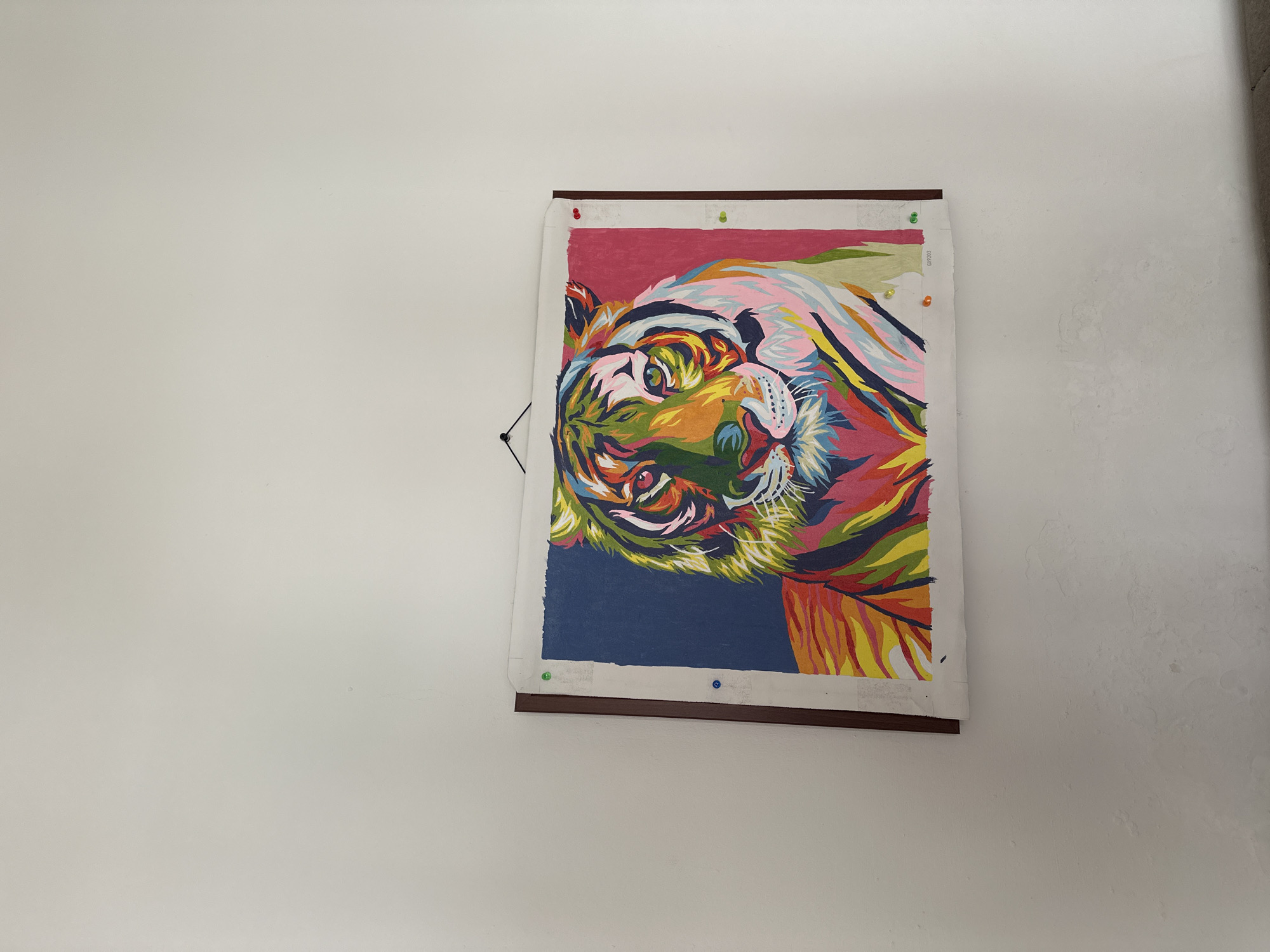 The image depicts a colorful, pop-art style painting of a tiger's face. The painting is affixed to a dark brown frame, using push pins of various colors (red, green, blue, yellow). The framed painting is hanging on a white wall. There is no indication of location. No people, subjects, or actions are visible.