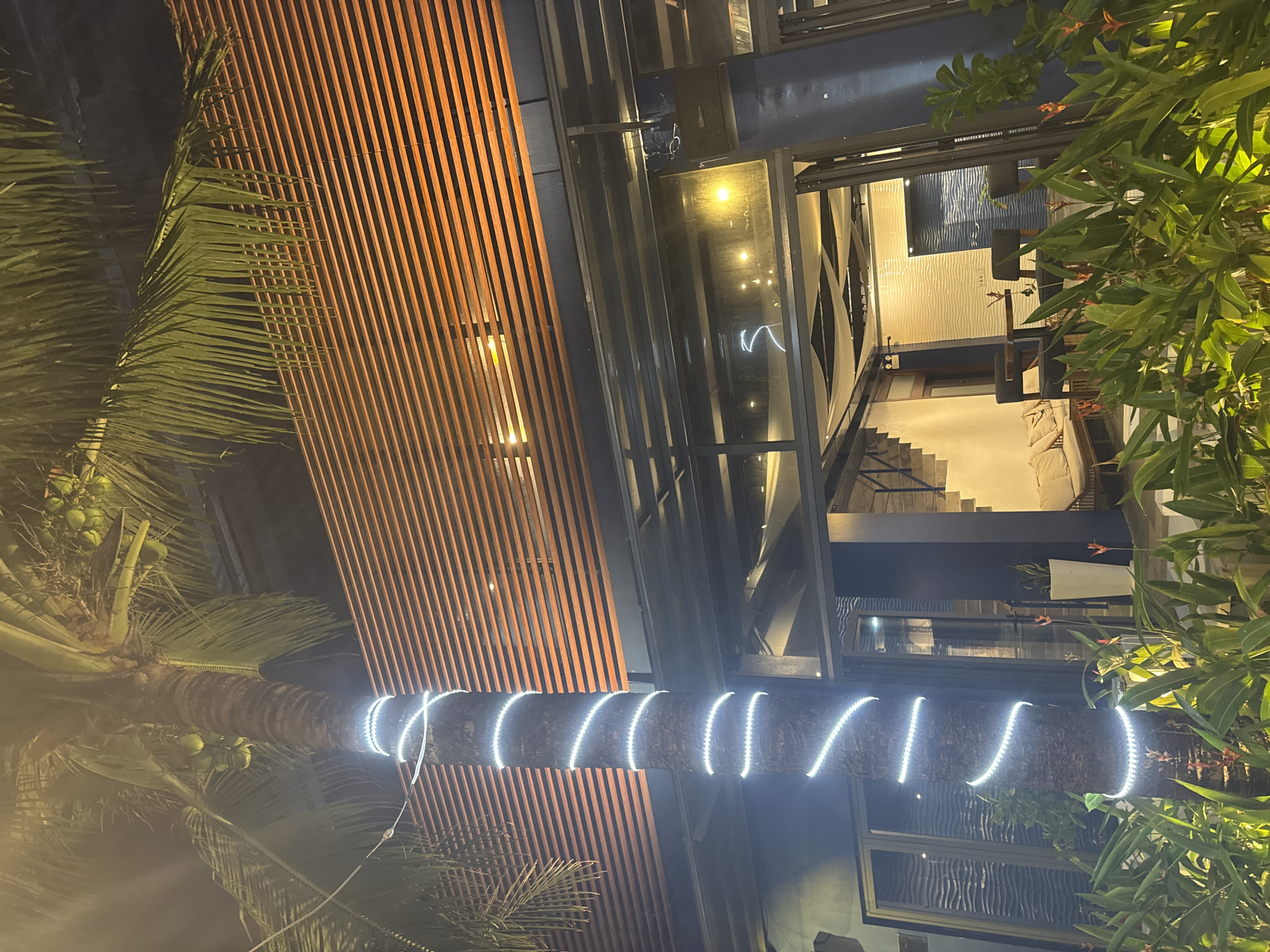 Captured from a low angle at night, the image presents a modern architectural structure near a palm tree. The palm tree's trunk is encircled by white, possibly LED, lights, contrasting with the darker lower part of the tree and the night sky. The building features vertical wooden slats and large glass windows that reflect interior light. Interior elements such as stairs, furniture, and wall decorations are visible through the windows. A leafy tree is also visible on the right side of the image. Though the image location of Đà Nẵng, Vietnam is provided, there is nothing in the image to verify this information.