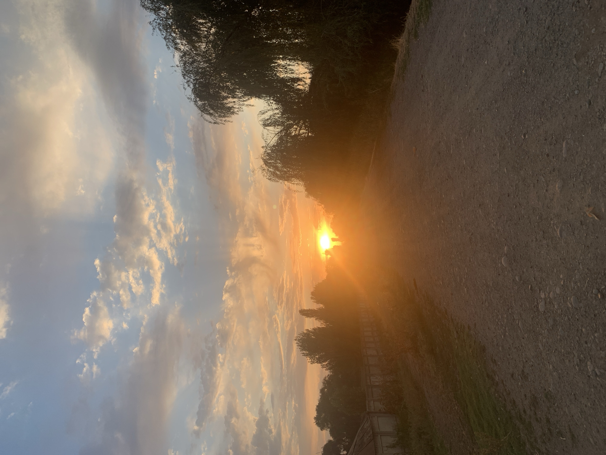 A dirt road curves towards a vibrant sunset in Komsomolskoe, Kyrgyzstan. The sky is a canvas of warm oranges, yellows, and soft blues, with scattered clouds catching the fading sunlight. Silhouetted trees, including a weeping willow on the right, line the side of the road. In the distance, a line of trees and a fence suggest the edge of a settlement. The ground is covered in dirt and small stones. The sun, low on the horizon, casts a bright glare, obscuring details in the immediate foreground.