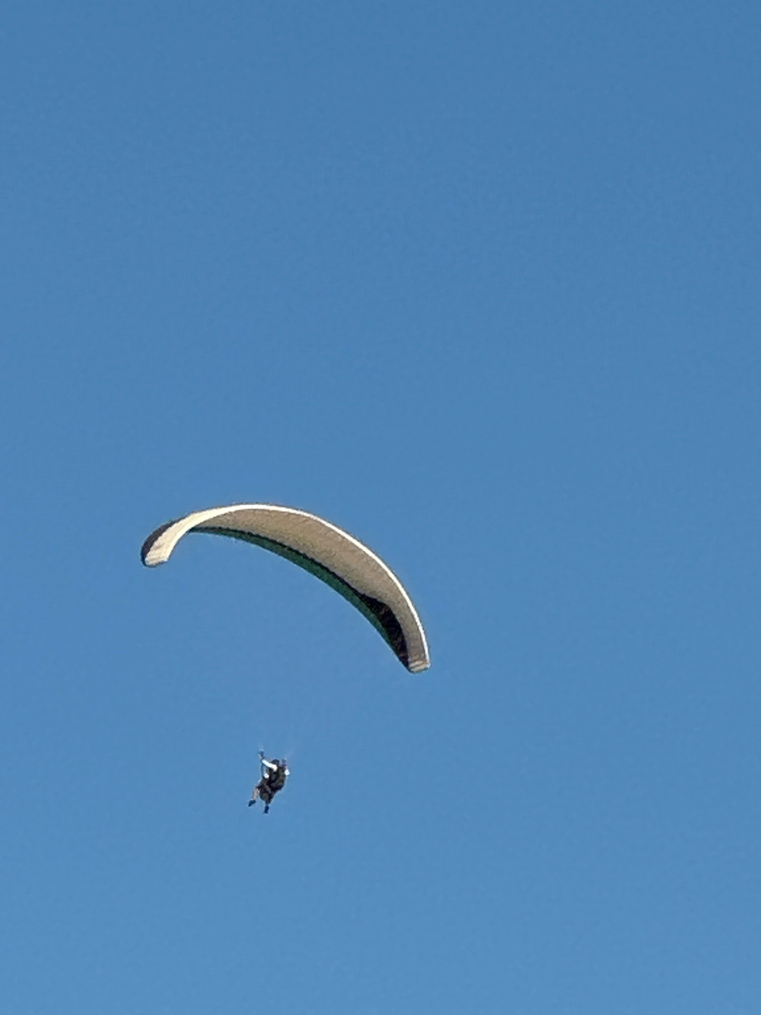 A paraglider, with a person attached to a parachute, is visible against a clear blue sky. The paraglider is a light-colored curved wing. The person appears to be in a seated position, wearing dark clothing. The image does not contain any information to determine the location in the city of Boreti, Montenegro.
