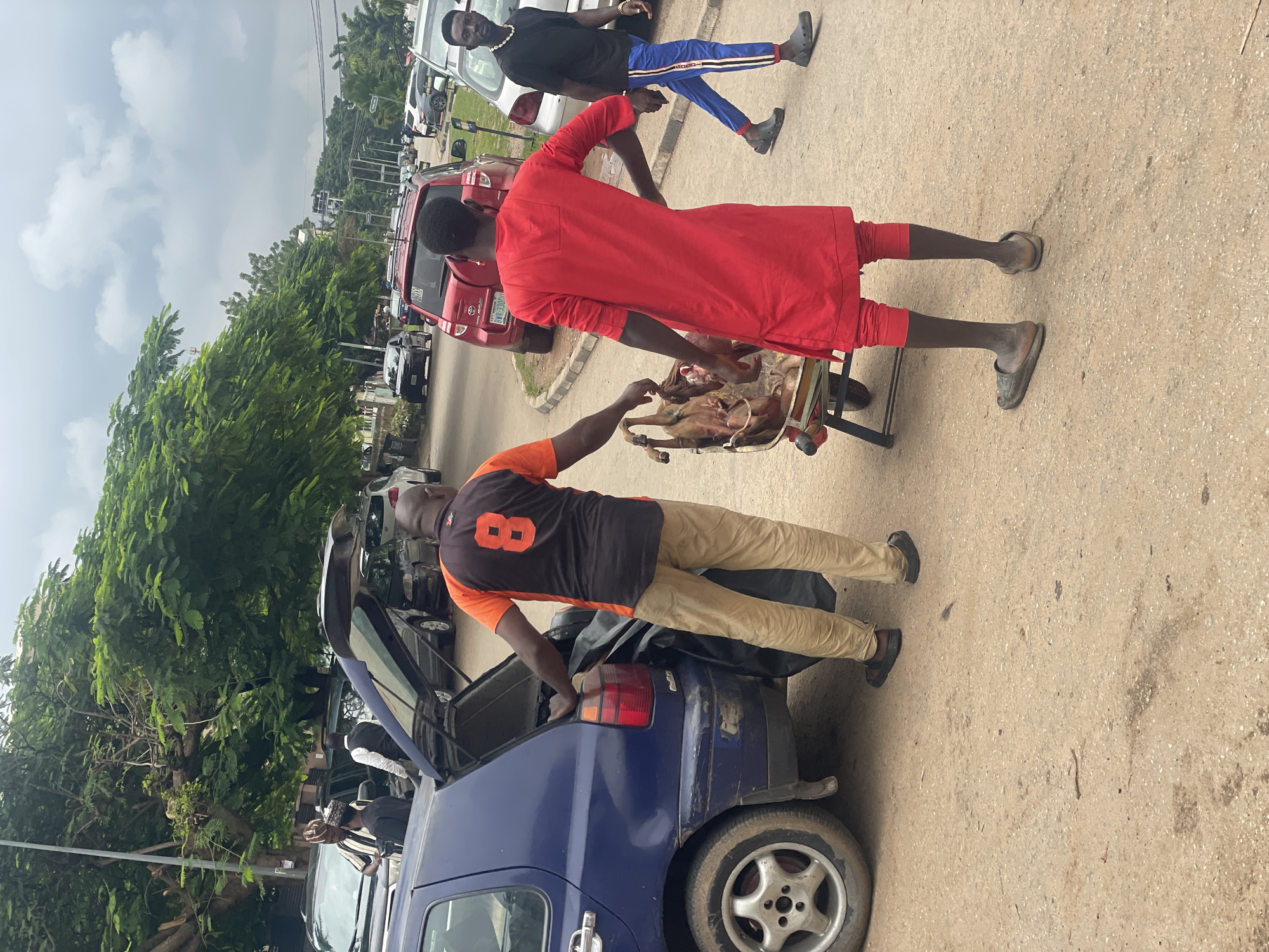 In Abuja, Nigeria, on a cloudy day, two men are engaged in an activity involving a blue car and a wheelbarrow filled with what appears to be meat. One man, wearing an orange and black shirt with the number 8 on the back and khaki pants, is standing near the open trunk of the blue car, seemingly loading or unloading items. The second man, dressed in a vibrant red traditional outfit, is pushing the wheelbarrow, which contains several animal carcasses. In the background, other vehicles and people are visible on a paved road lined with trees and streetlights, indicating an urban setting. The overall scene suggests a transaction or transport of goods, possibly related to a market or food distribution.