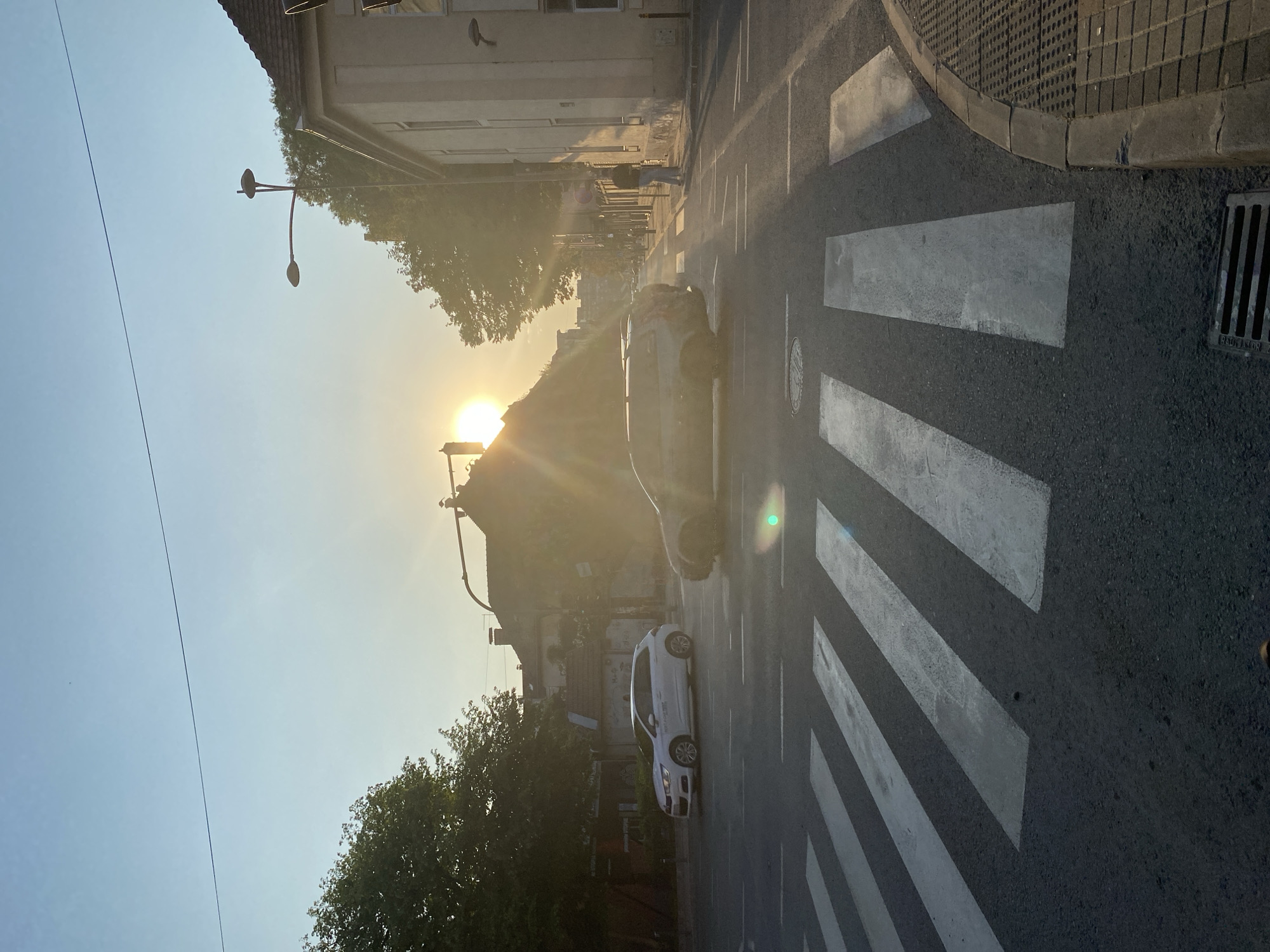 The image captures a street scene in Novi Sad, Serbia, at what appears to be sunrise or sunset. The sun is low in the sky, creating lens flare. A white car is driving on the road, which has a crosswalk. There are trees on either side of the road. Buildings are visible in the background. A street lamp is visible on the left side of the image. A drain is visible in the right side of the image.