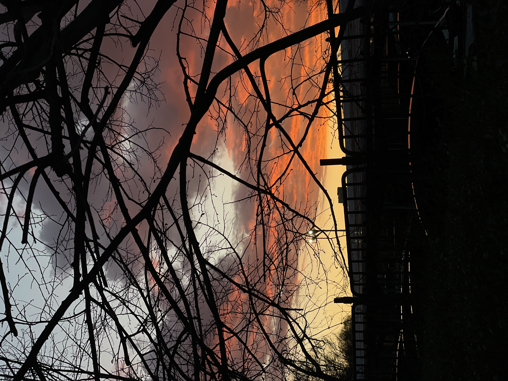 The image captures a sunset scene in Sofia, Bulgaria, framed by bare tree branches in the foreground. The sky displays a gradient of colors from reddish-purple to orange and yellow, likely indicative of the setting sun. A silhouette of what appears to be a metal structure, possibly a fence or bridge, is visible on the right side of the frame. The light of the setting sun is reflected by the metal beams. The scene appears to be near a body of water, or this could be an optical illusion. The lack of leaves on the trees suggests it is late autumn or winter. There are no people visible in the image. The environment suggests an urban setting with natural elements.
