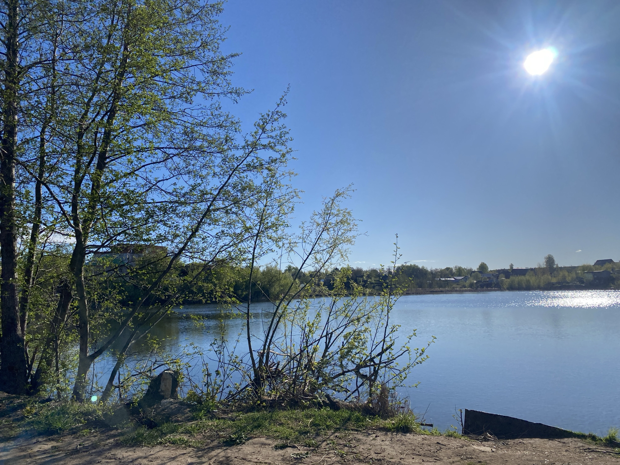 The image depicts a lake in Chaikovsky, Russia on a sunny day. The sky is clear blue with the sun high in the upper right. The lake is calm, reflecting the sky. Trees line the left side of the frame and the far bank. There are some small buildings visible on the far bank. The foreground is dirt and grass with a few small plants.