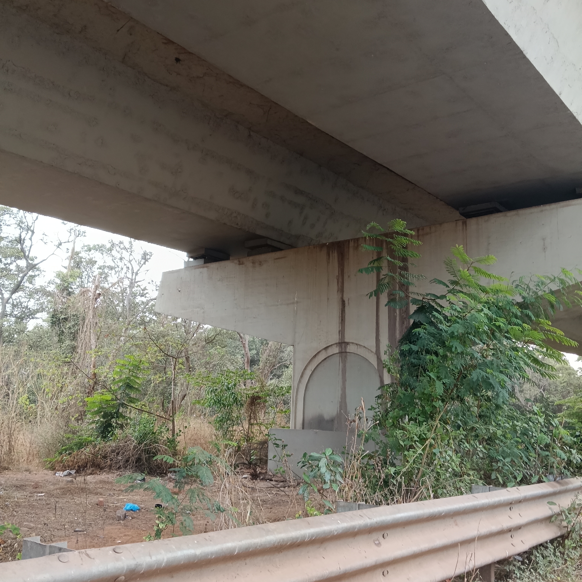 The image depicts the underside of a concrete overpass bridge in a rural or undeveloped area, potentially on the outskirts of Panaji, India. The bridge has a wide, flat concrete deck supported by vertical concrete pillars. Staining and discoloration mark the concrete surfaces, possibly due to water runoff. The area beneath the bridge is overgrown with vegetation, including bushes, small trees, and weeds. A metal guardrail runs along the foreground. Litter, including a piece of blue plastic, is scattered on the ground. The setting suggests a roadside environment with limited human activity.