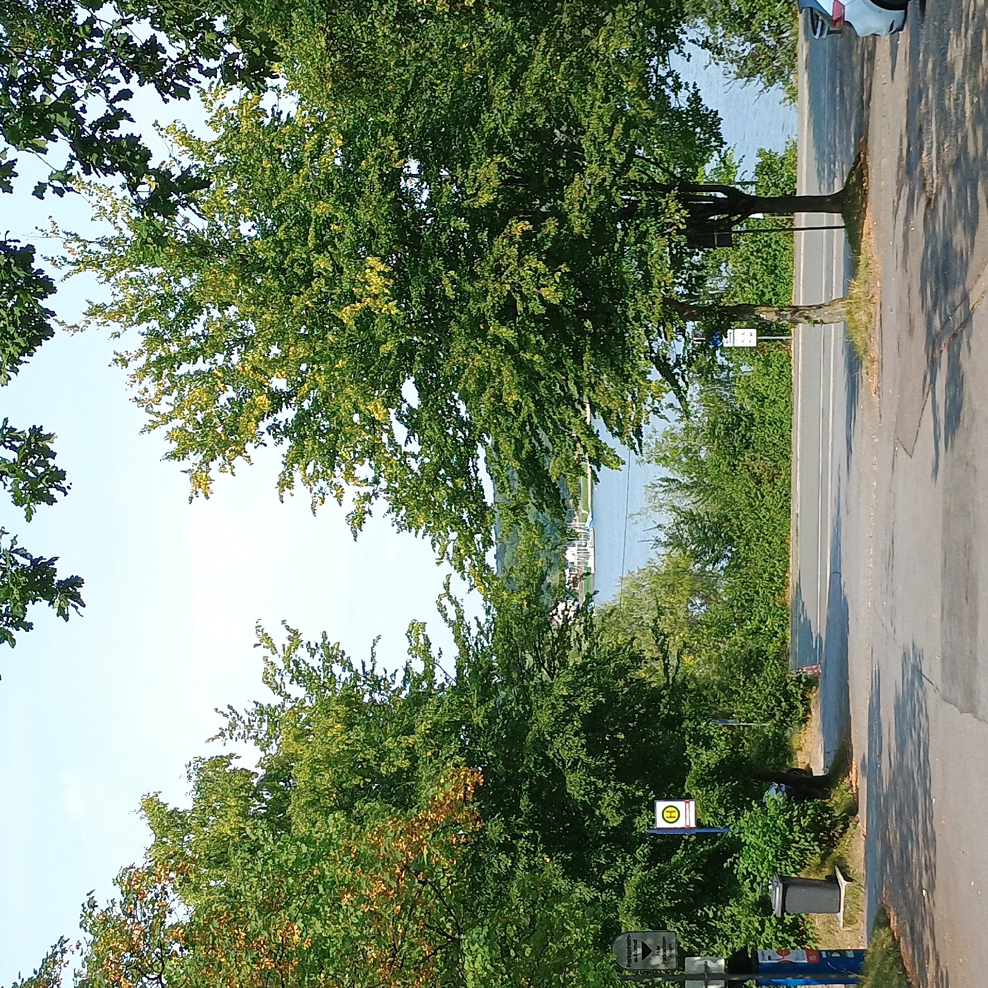 The image depicts a paved area with scattered shadows from trees, suggesting an outdoor setting on a sunny day. In the foreground, to the left, a gray trash bin is visible next to a blue parking ticket machine and a sign indicating a parking ticket automator. To the right of the trash bin is a blue pole with a circular sign featuring a yellow "H" symbol, indicating a bus stop. A large tree with lush green foliage dominates the right side of the frame, with another smaller tree to its left. Beyond these trees, a road with white markings runs horizontally, bordered by dense green bushes and trees. In the background, a body of water, likely a lake or a large pond, is visible. The far bank of the water is lined with a treeline and a distant hill. Several white boats are moored on the water, and structures that appear to be houses or buildings are visible on the shore. The sky is clear and pale blue. Based on the presence of a bus stop and parking facilities, and the natural landscape with a body of water, this scene is consistent with a location in the city of Möhnesee, Germany, likely near the lake. A white car is partially visible on the right side of the image, parked on the paved area.