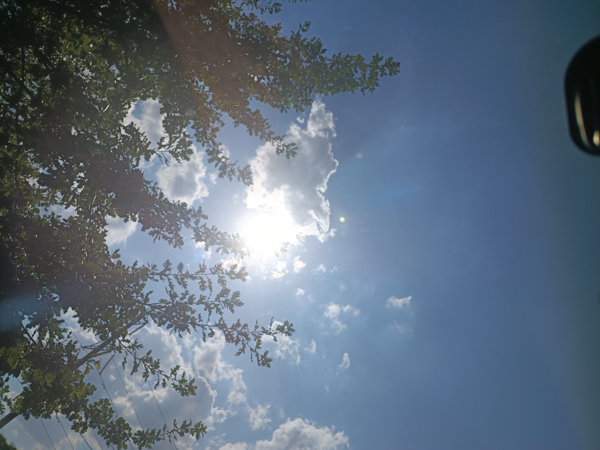 This is a low-angle shot of a bright, sunny sky with scattered clouds. Tree branches with green leaves are in the foreground, partially obscuring the sky. The sun is visible and very bright, causing lens flare and glare. In the upper right corner, a dark, curved object, possibly a rearview mirror of a vehicle, is visible. The scene appears to be outdoors, possibly in a park or along a tree-lined street. There are no people or specific landmarks visible that would indicate a precise location within Zaporizhzhia, Ukraine.