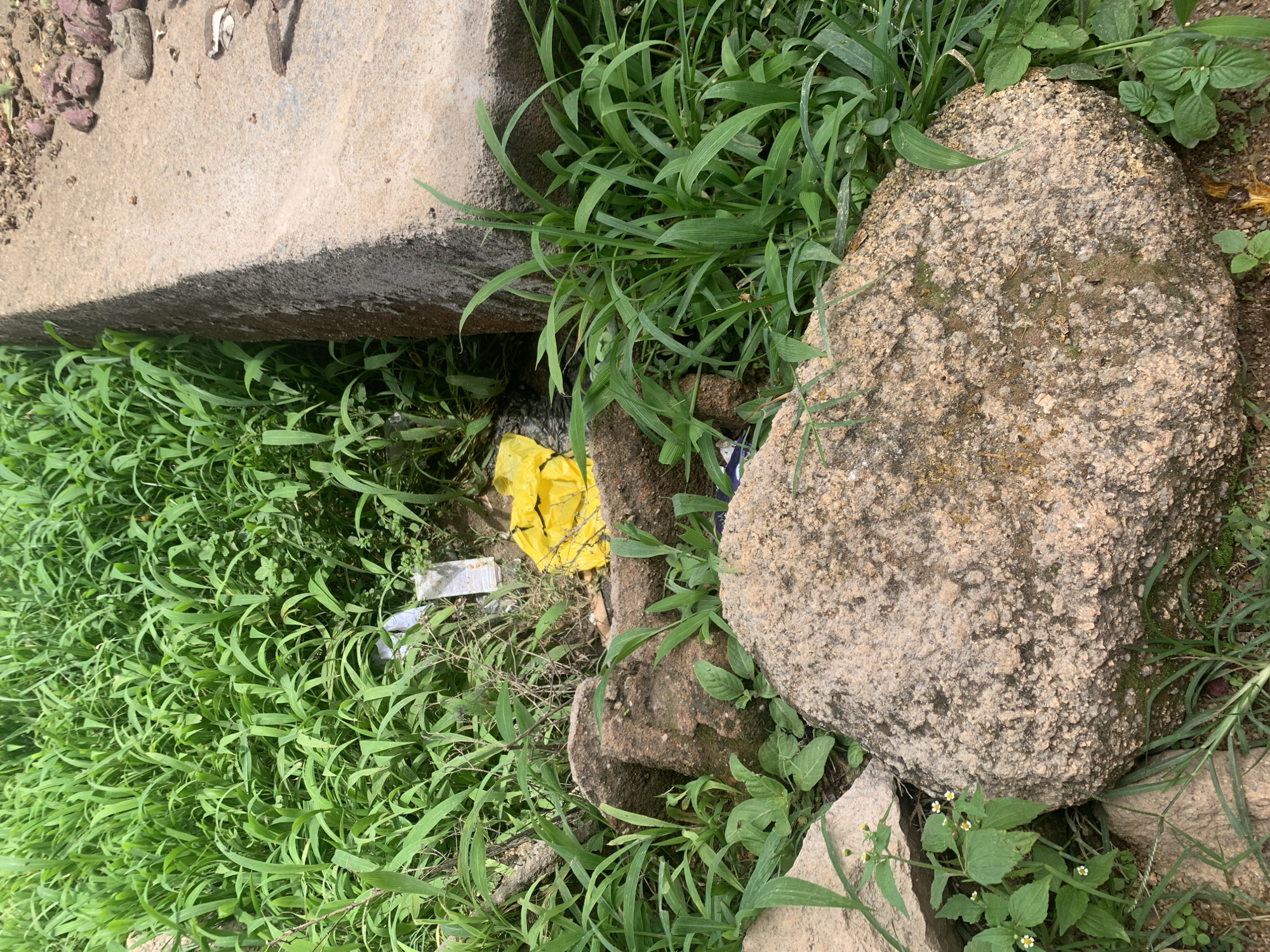 The image depicts an outdoor scene with lush green vegetation and several rocks. In the background, a concrete structure, possibly a wall or a raised platform, is visible. Among the greenery, a bright yellow plastic bag is present, suggesting the presence of litter. The surrounding environment appears natural, with dense grass and foliage. No people or animals are visible in the frame. The scene suggests a somewhat unkempt area, likely an undeveloped or neglected part of the city of Jos, Nigeria, characterized by natural elements interspersed with signs of human presence, such as the discarded plastic bag and the concrete structure.