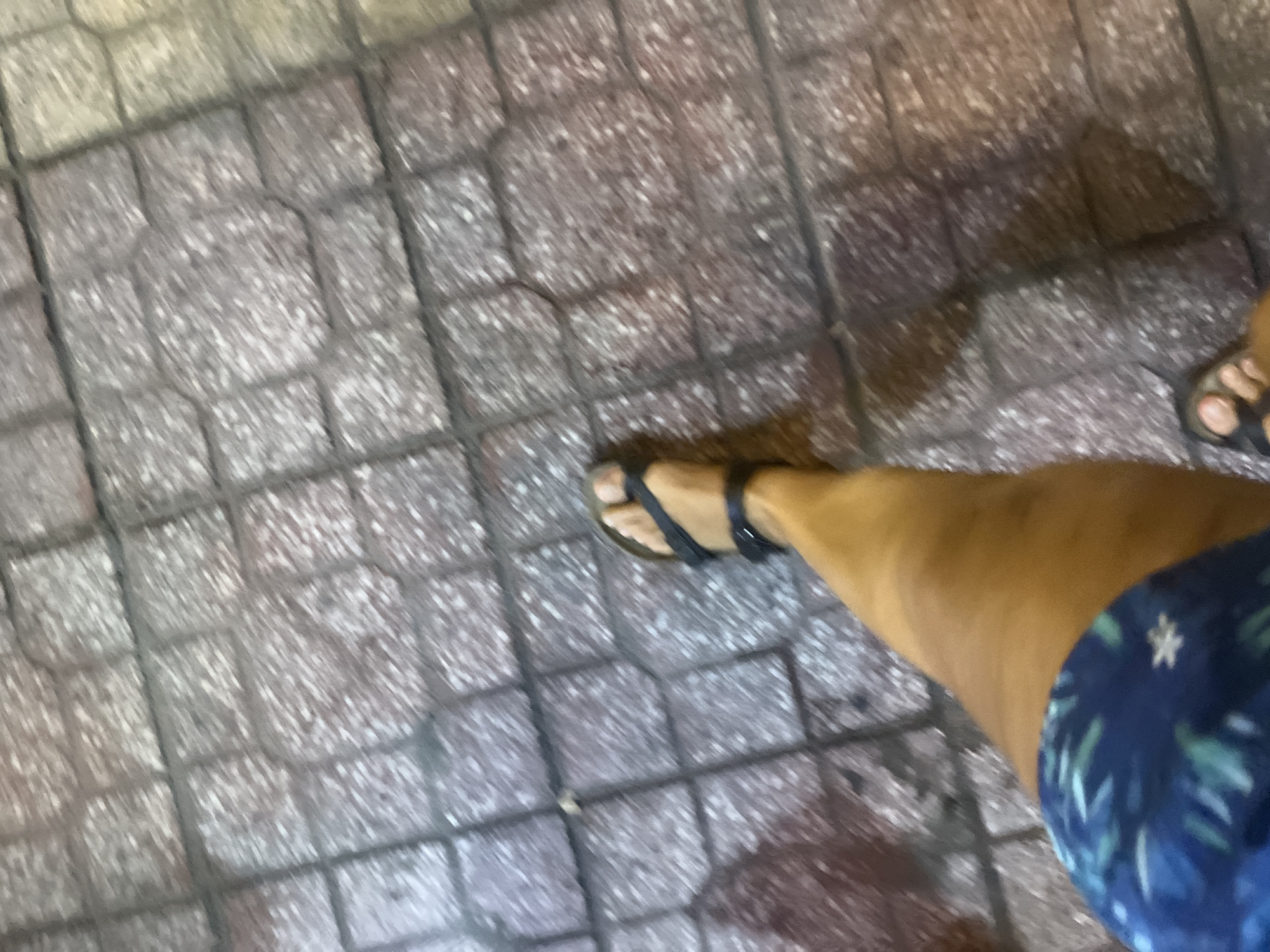 A person is walking on a sidewalk made of interlocking stone pavers. The person is wearing blue shorts with a floral pattern and black sandals. The image is taken from a high angle, looking down at the person's legs and feet. The lighting suggests it is nighttime or dusk.