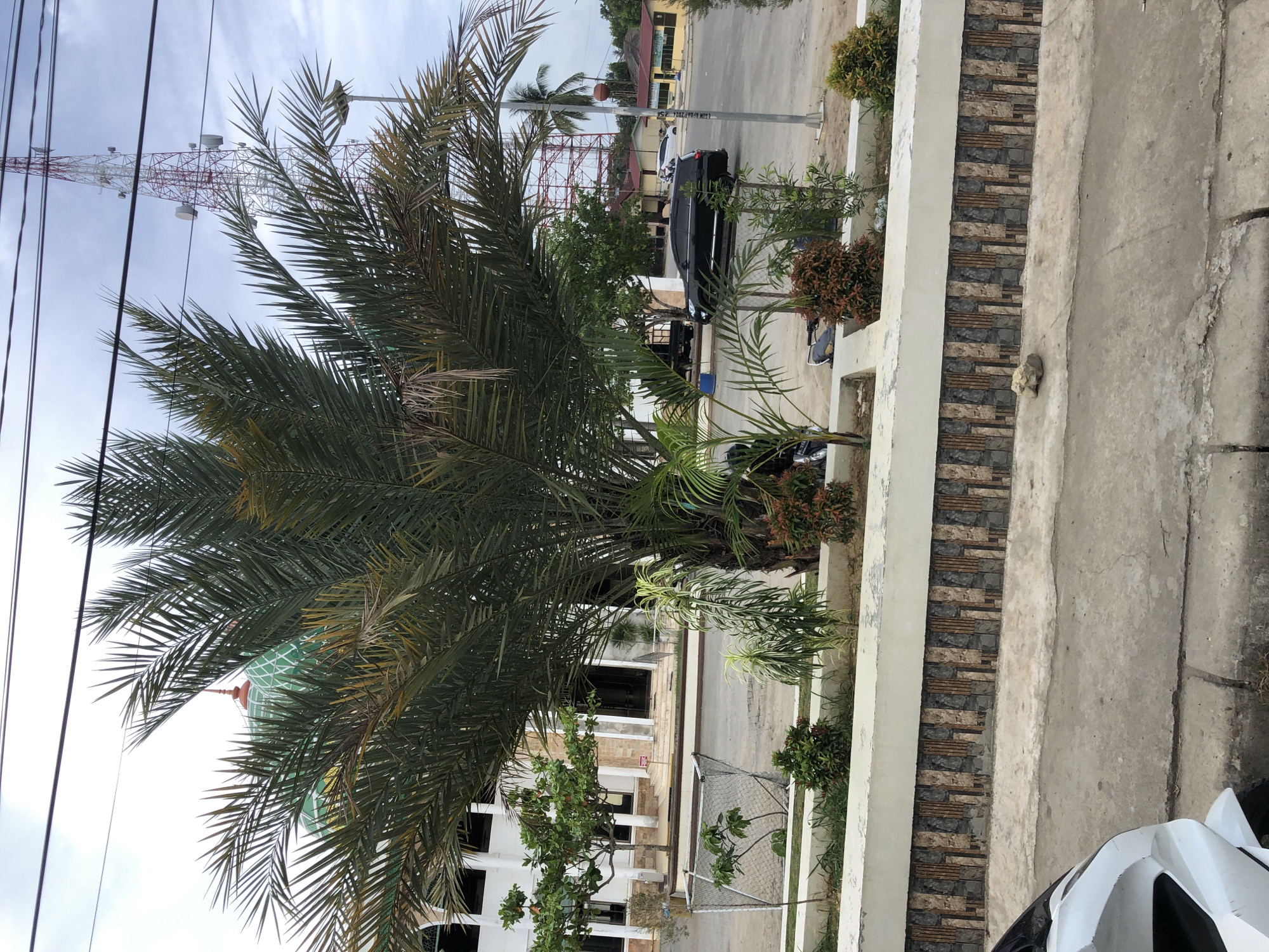 The image shows a street view in Gampongjawa, Indonesia, with a large palm tree dominating the left side. A red and white telecommunications tower is visible in the background behind the tree. Power lines are also present in the upper left. A street runs parallel to the frame, with a dark-colored SUV parked on the right side. A building with a green dome is partially obscured by the palm tree. A white and gray fence with integrated planters and brick detailing lines the right edge of the frame. The foreground shows a concrete sidewalk, with a portion of a white helmet visible in the bottom right corner. A building with white exterior walls and a partially visible mosque building is visible in the middle ground. The sky is overcast.