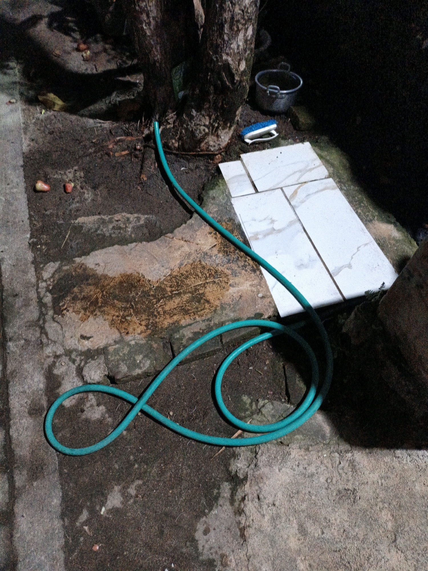 A turquoise garden hose is coiled in a figure-eight shape on the ground near a tree. To the right of the tree, a metal bucket and a blue and white scrub brush rest on the ground. Several white tiles are laid out nearby. The ground appears to be a mix of dirt and rough concrete. In the background, there is a dark, shadowed area. The scene suggests an outdoor area, possibly a yard or garden, in Cikal, Indonesia.