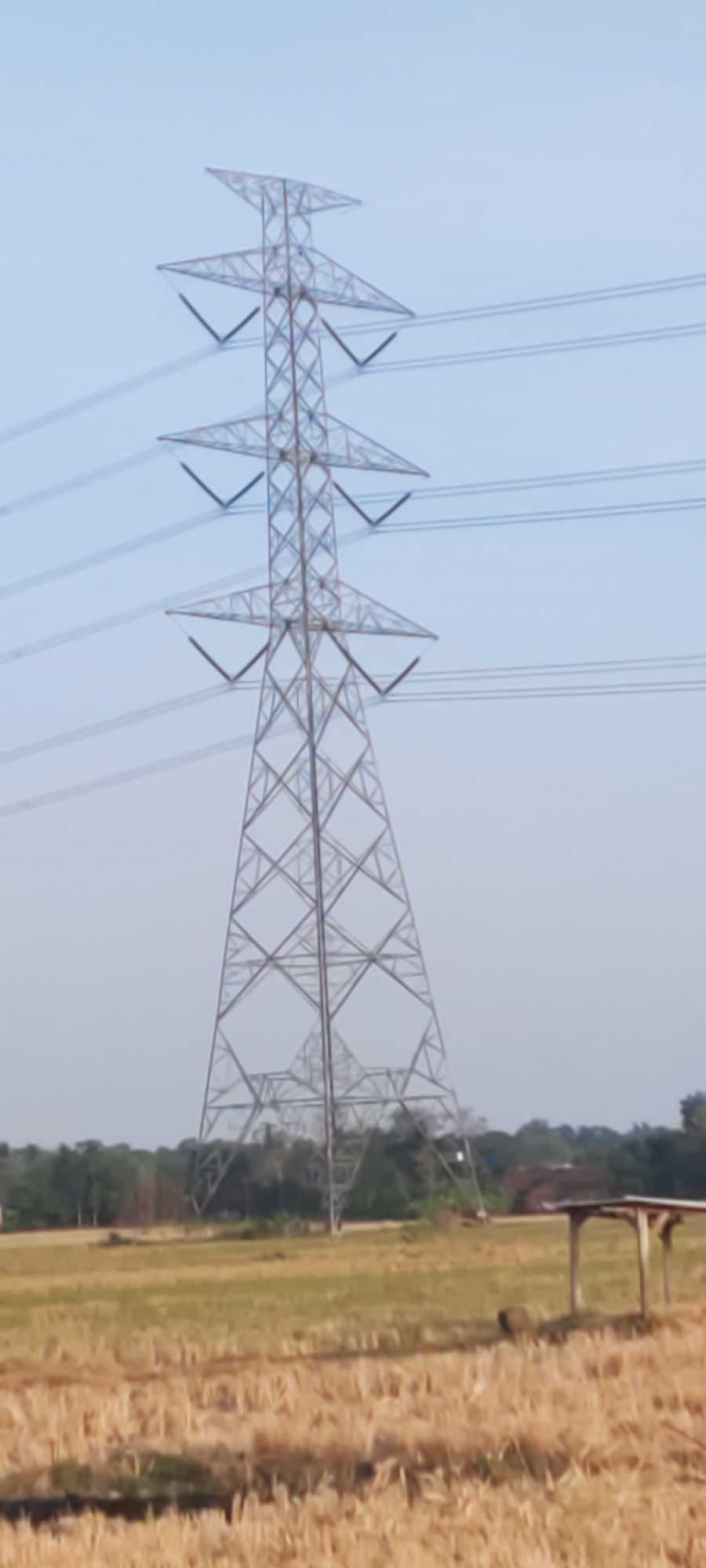 A tall, metallic power line tower stands prominently against a clear, pale blue sky. The tower is a lattice structure made of metal beams, with crossbars and support wires extending upwards and outwards. Several electrical wires are suspended between the tower and other unseen structures, running horizontally across the sky. Below the tower, a field of dry, harvested crops, likely rice or wheat stubble, stretches towards a line of trees in the distance. To the right of the image, a small, simple wooden shelter with a pitched roof stands in the field. The scene appears to be set in a rural area, likely in Sedong Kidul, Indonesia, given the context.