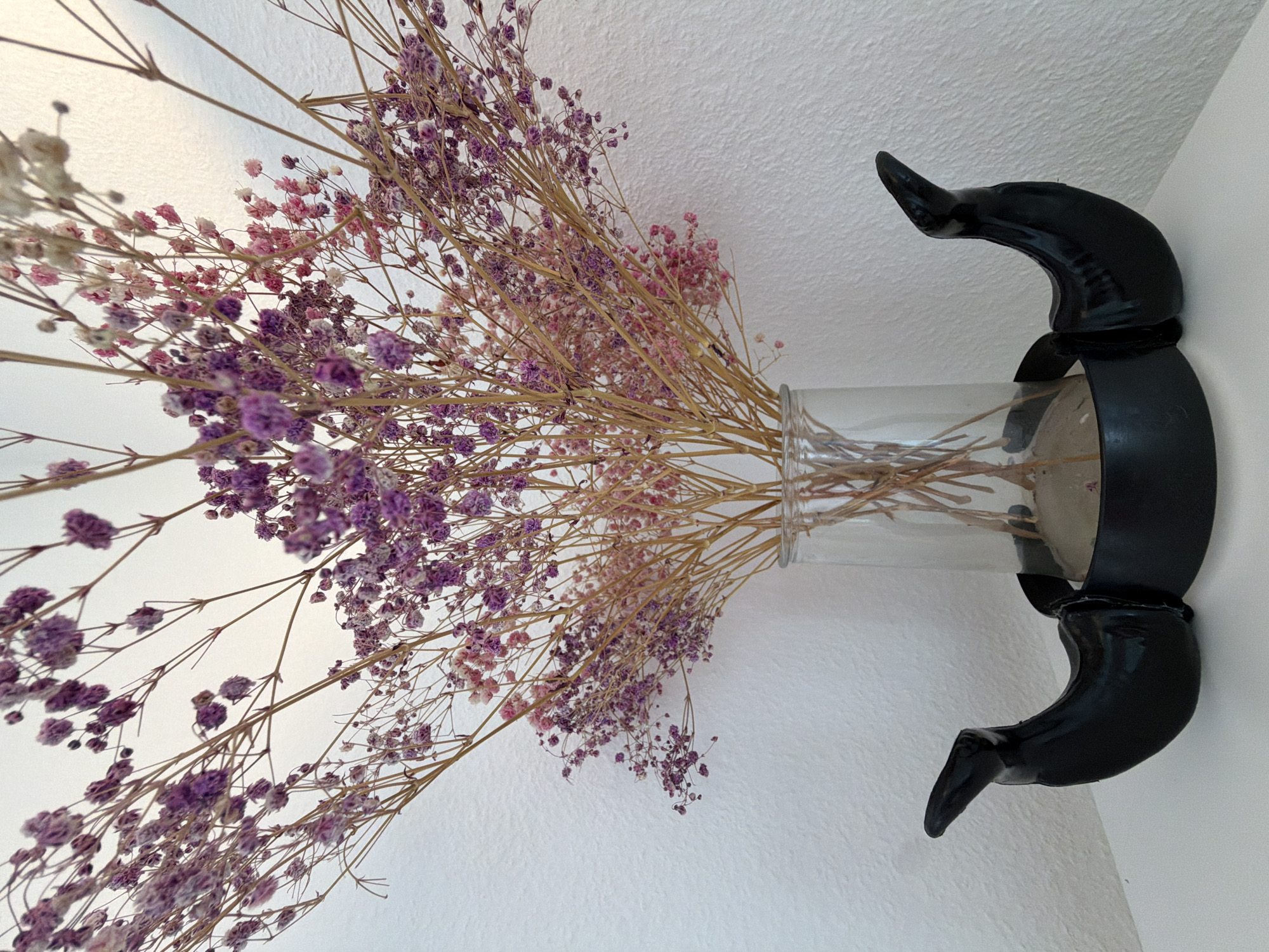 A still life photograph captures a decorative arrangement of dried flowers in a clear glass vase, mounted against a bright white, textured wall. The dominant subjects are the dried flowers, which appear to be baby's breath (*Gypsophila paniculata*), displaying a soft palette of purple, pink, and some white florets on delicate, light brown stems. The flowers fan out broadly, filling the majority of the left side of the frame.
The clear glass vase, holding the bulk of the flower stems, is secured by a distinctive black wall-mounted bracket. This bracket features two prominent, glossy black, curved elements resembling horns or claws, positioned both above and below the vase, adding a unique and sculptural aesthetic to the display. The wall itself is white with a subtle, rough texture.
The setting is indoors, characterized by clean, bright, and even lighting that suggests daytime, possibly from an indirect light source, as no harsh shadows are visible. No people or activities are present in the image. There is no visible text. While the location context is given as Moscow, Russia, there are no specific visual cues within the image to confirm this location. The scene portrays a minimalist and aesthetically pleasing interior decoration.