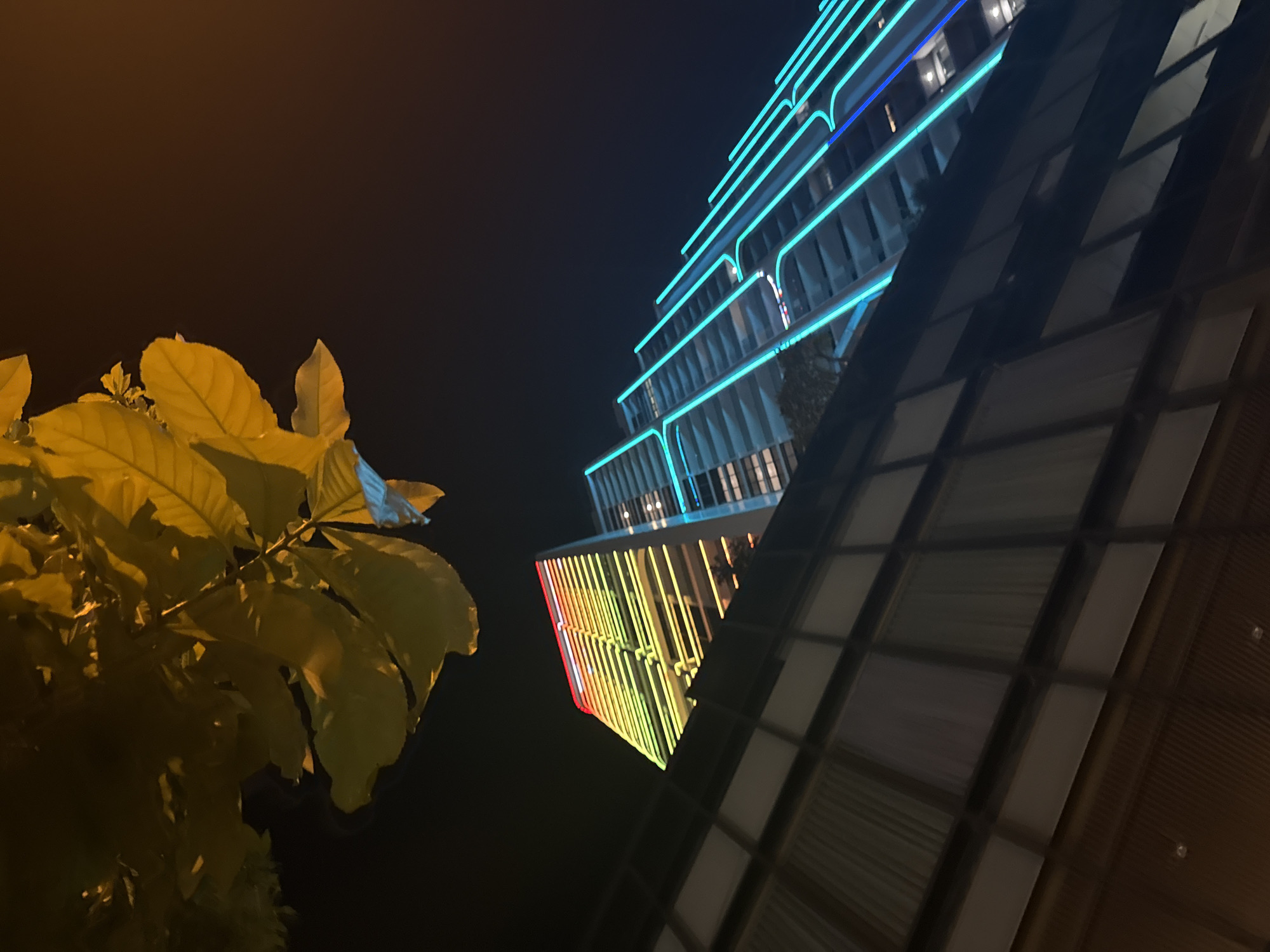 The image captures a nighttime view of modern skyscrapers in Nha Trang Ward, Vietnam. In the foreground, a dark building with glass windows and a corrugated lower section dominates the lower half of the frame, angled upwards. Above this, two taller skyscrapers are visible. The one on the left is illuminated with a rainbow gradient of lights running horizontally across its facade. The skyscraper to its right is adorned with bright teal neon lights that follow the building's architectural lines. In the upper left corner, a cluster of large, yellow-green leaves from a tree hangs over the scene, illuminated by a light source off-camera. The overall ambiance is urban and vibrant, highlighting the illuminated architecture against the dark night sky.