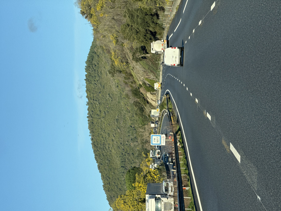A curved asphalt highway stretches alongside a tree-covered hillside. Vehicles, including trucks and vans, populate both sides of the road. A blue highway sign with white text is visible beside a guardrail. The sky is a clear, light blue. The road is marked with dashed white lines. The hillside is covered in dense green trees with some yellow flowering trees interspersed.