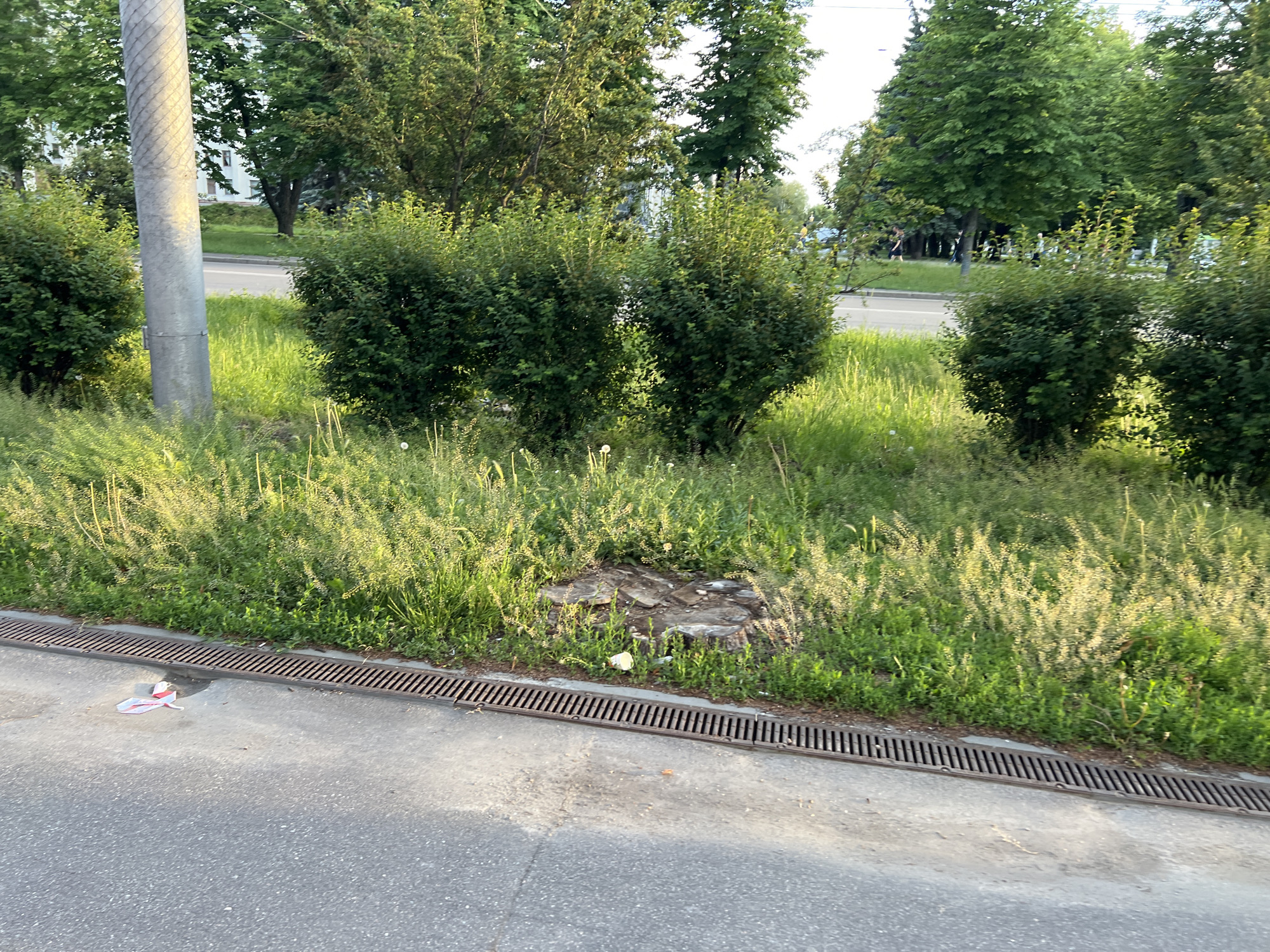 This media file captures a roadside scene in Poltava, Ukraine, likely during the late afternoon or early evening under clear weather conditions.
The foreground features a grey paved surface, possibly a road or sidewalk, bordered by a long, metallic storm drain grate. Beyond the drain lies a lush strip of green vegetation, composed of tall grass and several dense, rounded bushes. A weathered tree stump is prominent in the center of this grassy area, surrounded by various smaller plants.
On the left, a tall, corrugated metallic utility pole stands, partially framed by the bushes. In the midground, across another road, more green trees are visible, some partially obscuring light-colored buildings in the distance. Several indistinct human figures can be seen walking in the far background, suggesting typical urban activity.
Notable details include the soft, golden sunlight illuminating the vegetation, creating highlights and shadows. A piece of crumpled red and white litter is visible on the pavement near the drain, and a smaller white piece of debris lies near the tree stump. No legible text is present in the image. The scene portrays a calm, everyday urban landscape with a mix of natural elements and infrastructure.