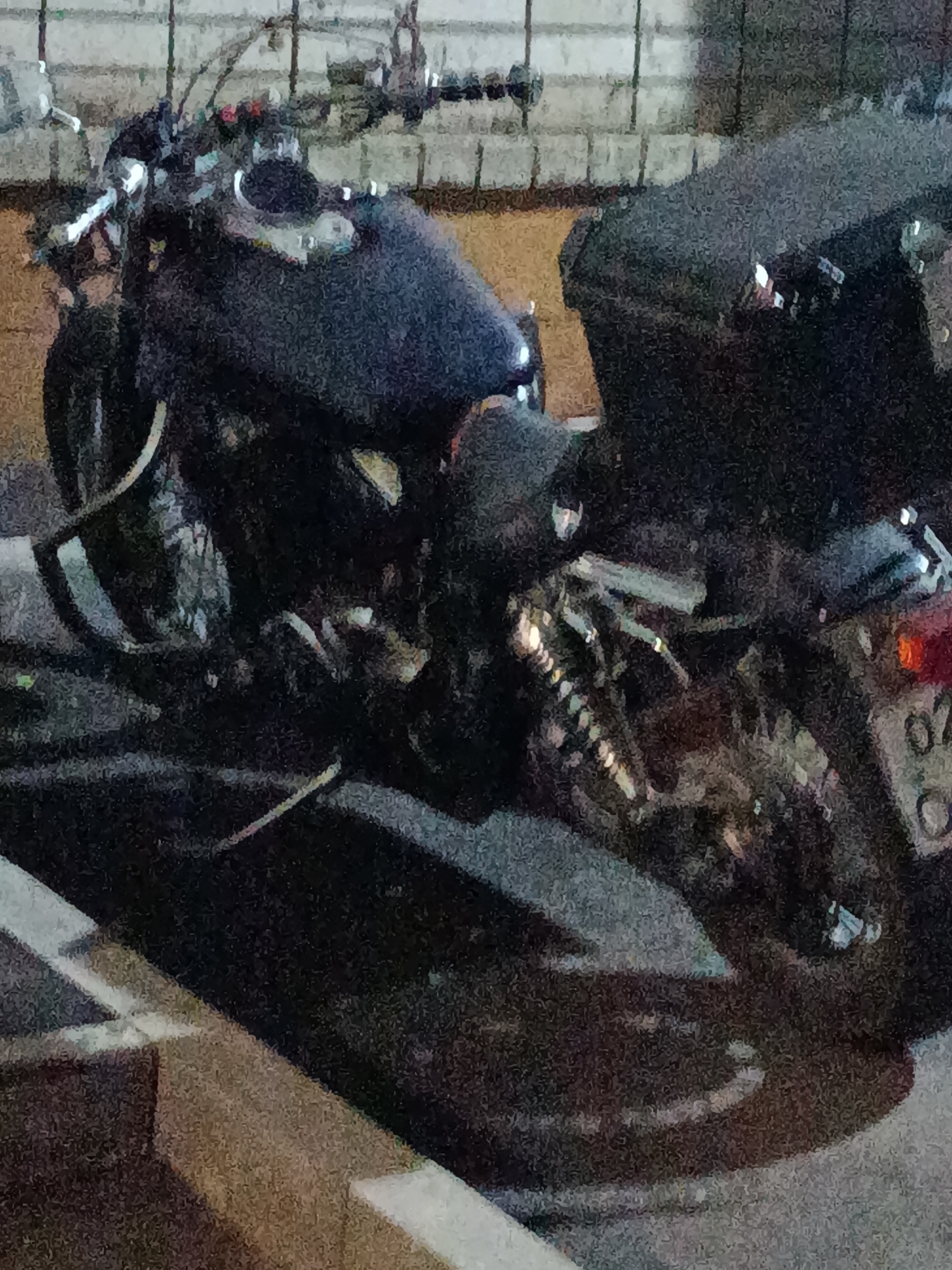 A dark-colored motorcycle, possibly a cruiser or chopper style, is parked on a paved surface with white lines, suggesting a parking lot or road. The motorcycle has a large, dark saddlebag attached to its rear. The background consists of a brick wall. The image is grainy and appears to be taken at night or in low light conditions. No people are visible in the image. The license plate of the motorcycle, partially obscured, appears to have the number "02" followed by other characters, indicating it is likely registered in Russia. While the image doesn't explicitly show signs pointing to Saratov, Russia, the presence of the "02" region code on the license plate suggests a connection to that area.