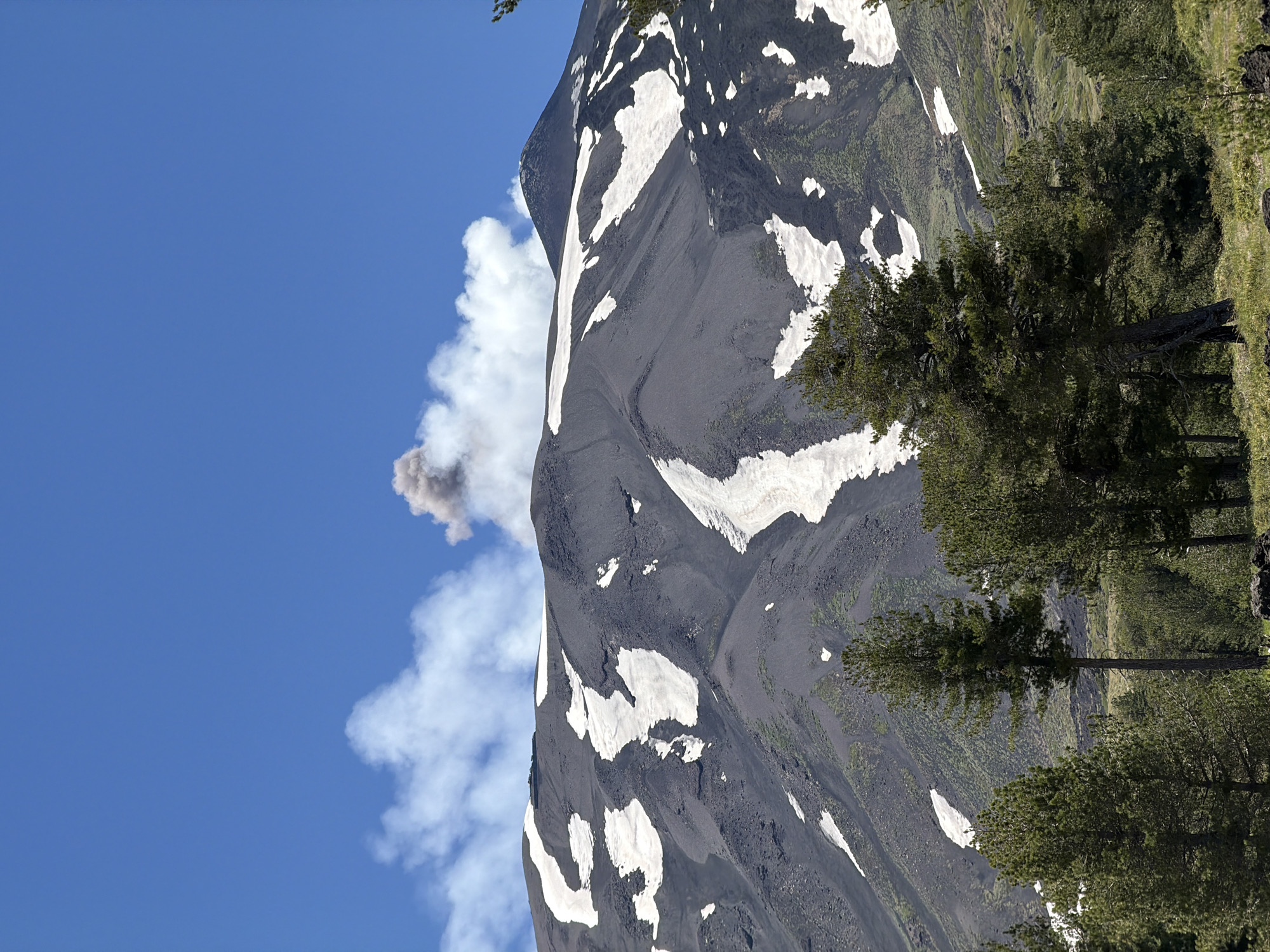The image shows a volcanic eruption near Linguaglossa, Italy. Mount Etna is erupting, spewing ash and smoke into the blue sky. The slopes of the volcano are covered in dark volcanic rock and patches of snow. In the foreground, there are green pine trees. The scene is natural and wild, with no people visible in the frame. The overall impression is one of raw power and natural beauty.