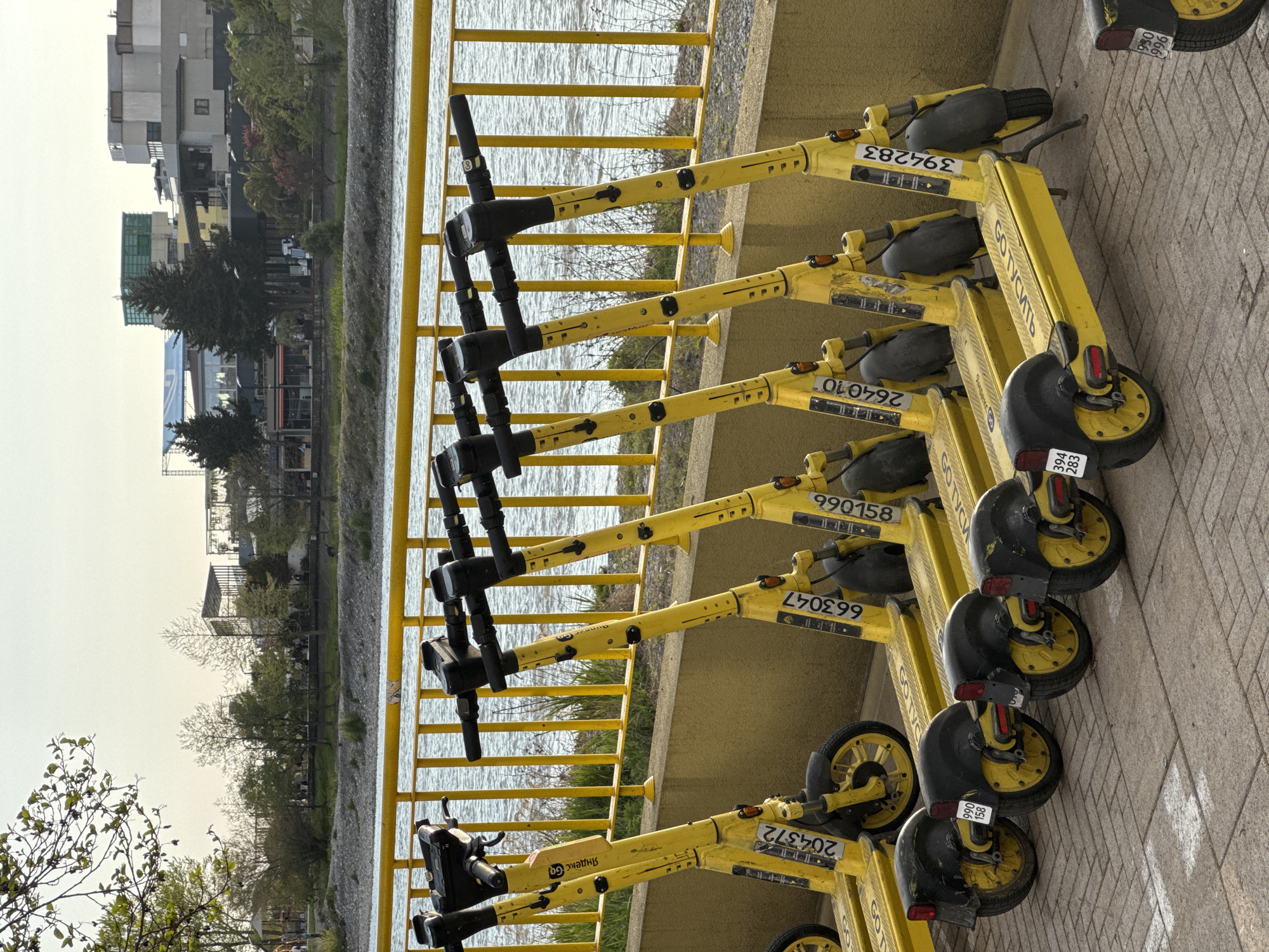 A horizontal, eye-level shot captures a row of yellow and black electric scooters parked along a paved walkway next to a body of water. The scooters, featuring a uniform design, are neatly lined up, facing away from the camera. Each scooter displays identification numbers and branding, including "Яндекс Go" on the handlebar stem of one scooter, and "GO ТУСИТЬ" or "GOTYC" on the side platforms. Visible numbers on the scooters and their rear fenders include 394283, 264010, 990158, 663047, 204372, and partial numbers like 966 and 930.
A yellow metal railing separates the walkway from the calm, flowing water, which reflects the overcast sky. On the opposite bank of the water, an urban landscape unfolds with a mix of modern and older buildings, interspersed with lush green trees and other vegetation. The sky is bright but appears overcast, suggesting daytime with soft, diffused lighting. There are no people visible, and the scene depicts a quiet moment in a city or town, likely a designated station for shared electric scooters. The overall impression is one of organized urban infrastructure set against a natural waterside backdrop.