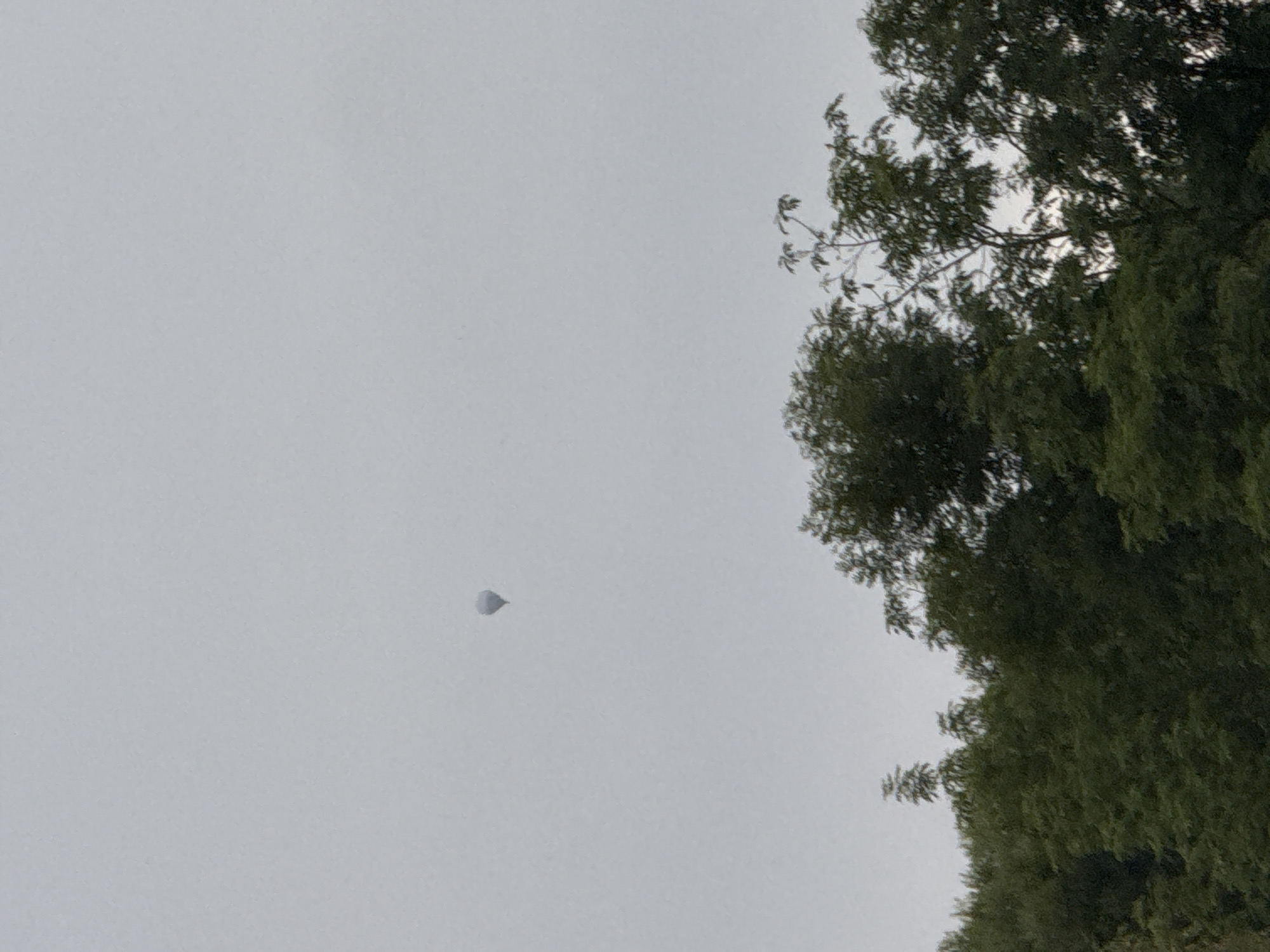 A hot air balloon is visible in a hazy, overcast sky above a treeline in Ellrich, Germany. The balloon is a light grey color and appears to be relatively small in the frame. Below the sky is a dense canopy of green trees. The overall scene suggests a cloudy or misty day.