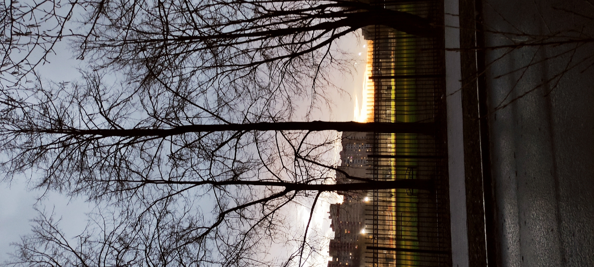 The image, viewed in a landscape orientation, depicts an urban or suburban scene at twilight, likely dawn or dusk. Silhouetted, bare tree branches occupy the foreground and upper portions of the frame, their intricate patterns stark against the sky. The sky transitions from a pale grey-blue at the top to a warm orange and yellow glow near the horizon, indicating the time of day.
A dark metal fence runs horizontally across the midground, separating the trees from a large, brightly illuminated field or sports ground. The field, covered in green grass, appears to be lit by artificial lights, casting a strong, even glow. Beyond the field, several multi-story residential buildings are visible in the background, with some windows illuminated, suggesting occupancy. To the far right, a dark, textured surface, possibly a wet road or sidewalk, is present. There are no people visible, and no text is discernible. The setting is a residential area, specifically Fryazino, Russia, as per the provided context.