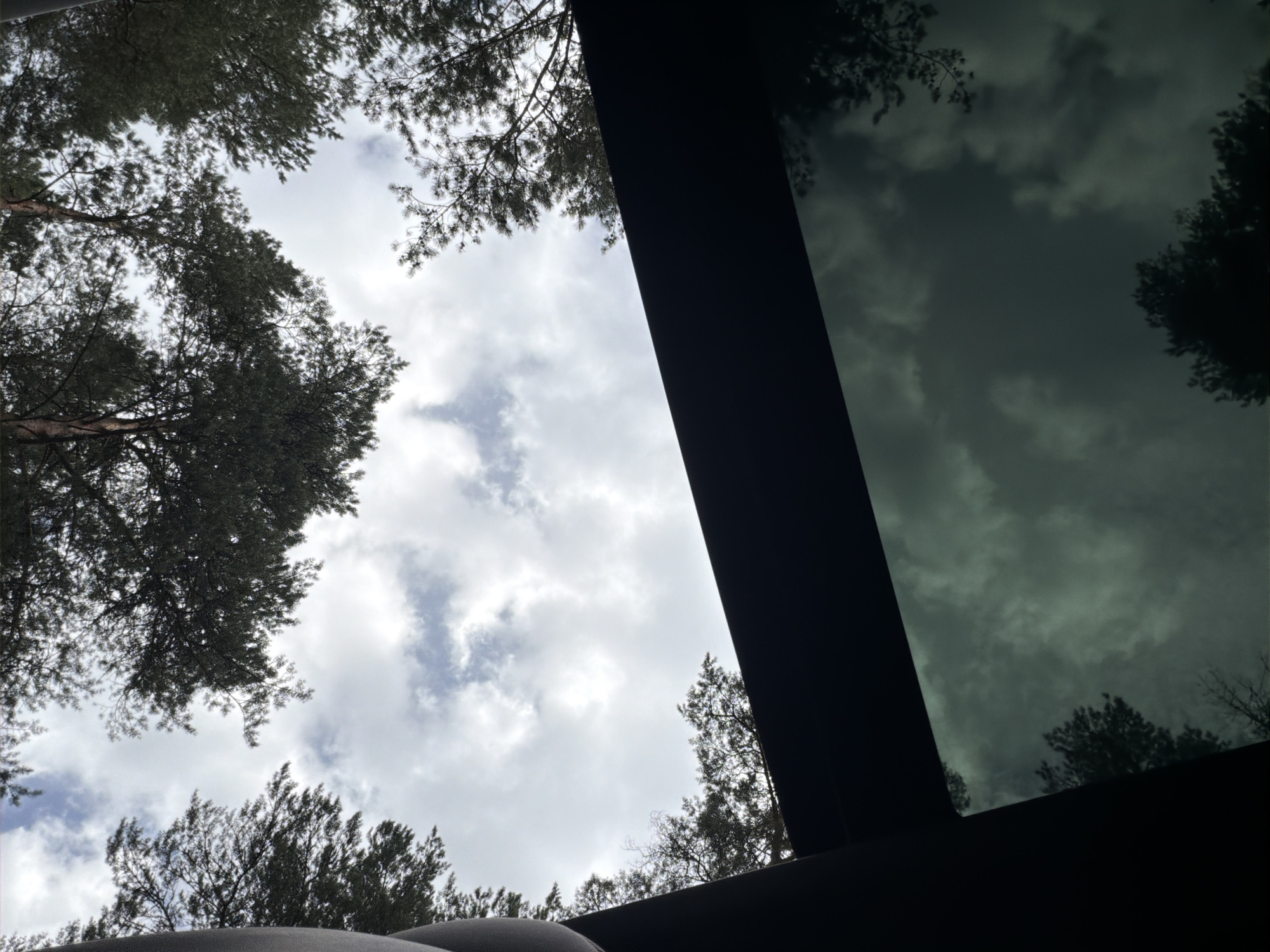 The image is a low-angle shot of a cloudy sky viewed through what appears to be a sunroof or window. Dark tree branches and foliage are visible framing the sky from above and reflected in the reflective surface below. The sky itself is filled with various shades of gray and white clouds, with patches of lighter blue peeking through. The overall impression is one of looking upwards through a canopy of trees from inside a vehicle or structure. There are no people or animals visible in the image. The location of Steklyannyi, Russia is not discernible from the visual content of the photograph.