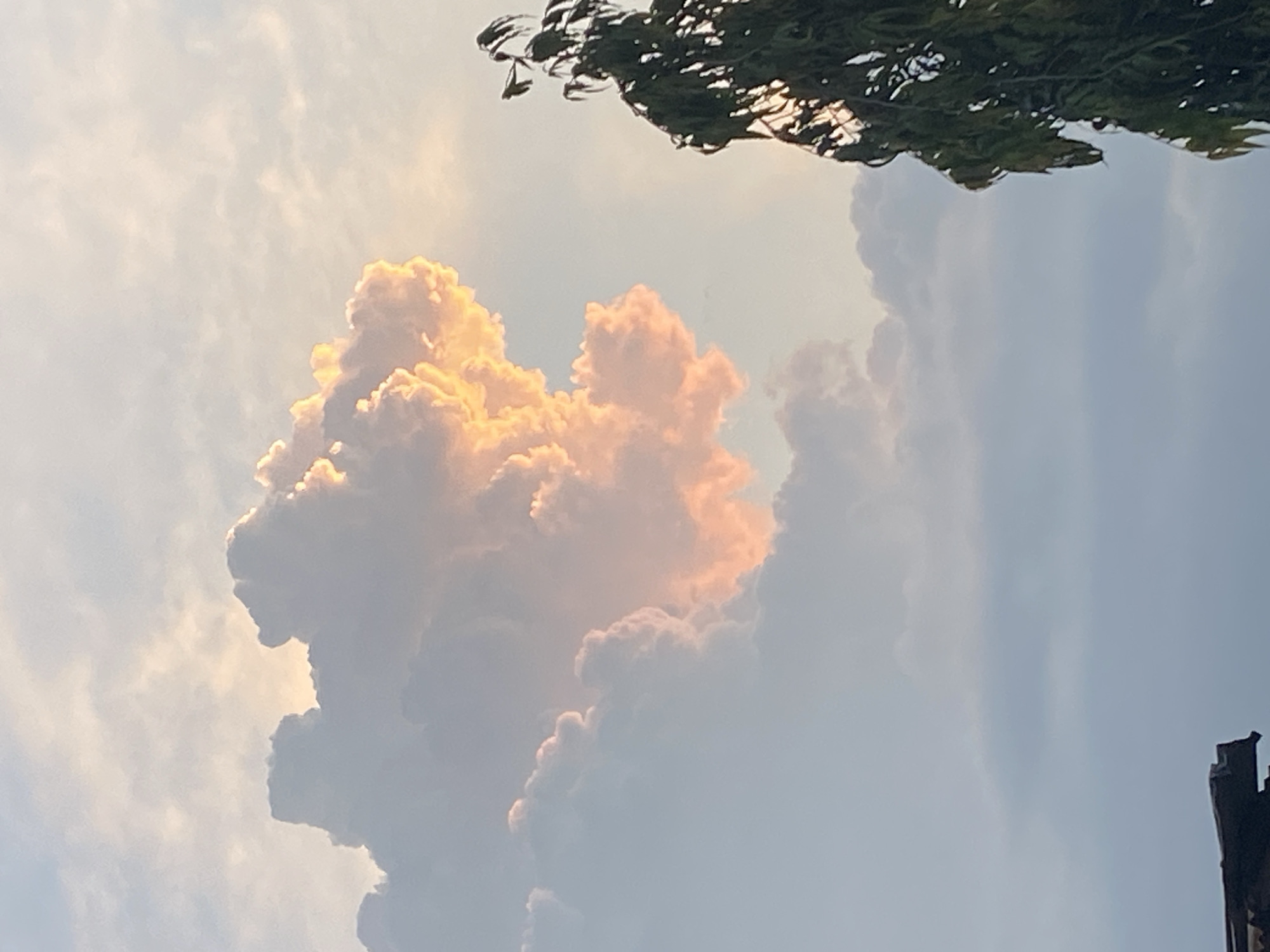 The image depicts a sky filled with dramatic clouds, tinged with the warm hues of sunset or sunrise. A large, prominent cumulus cloud dominates the center, glowing with shades of orange and pink where the light catches its edges, contrasting with the softer, more muted tones of surrounding clouds. Above and to the right, the dark, silhouetted branches of a tree hang into the frame, their leaves creating a jagged line against the sky. Towards the bottom right, a portion of a dark, angular structure, possibly a building or a chimney, is visible, hinting at an urban or semi-urban setting. The sky itself transitions from a pale, hazy blue at the top to a clearer, softer blue lower down, with faint wisps of clouds scattered throughout. The overall impression is one of a serene yet powerful natural display, capturing a moment of atmospheric beauty. The image appears to be taken from ground level, looking upwards. The time of day is clearly either early morning or late evening due to the warm, angled light illuminating the clouds. The weather appears to be fair, with the clouds indicating a possibility of varied weather conditions, but the light suggests a clear sky with scattered cloud cover. No people or specific activities are depicted, the focus is solely on the celestial and arboreal elements. There is no visible text in the image.