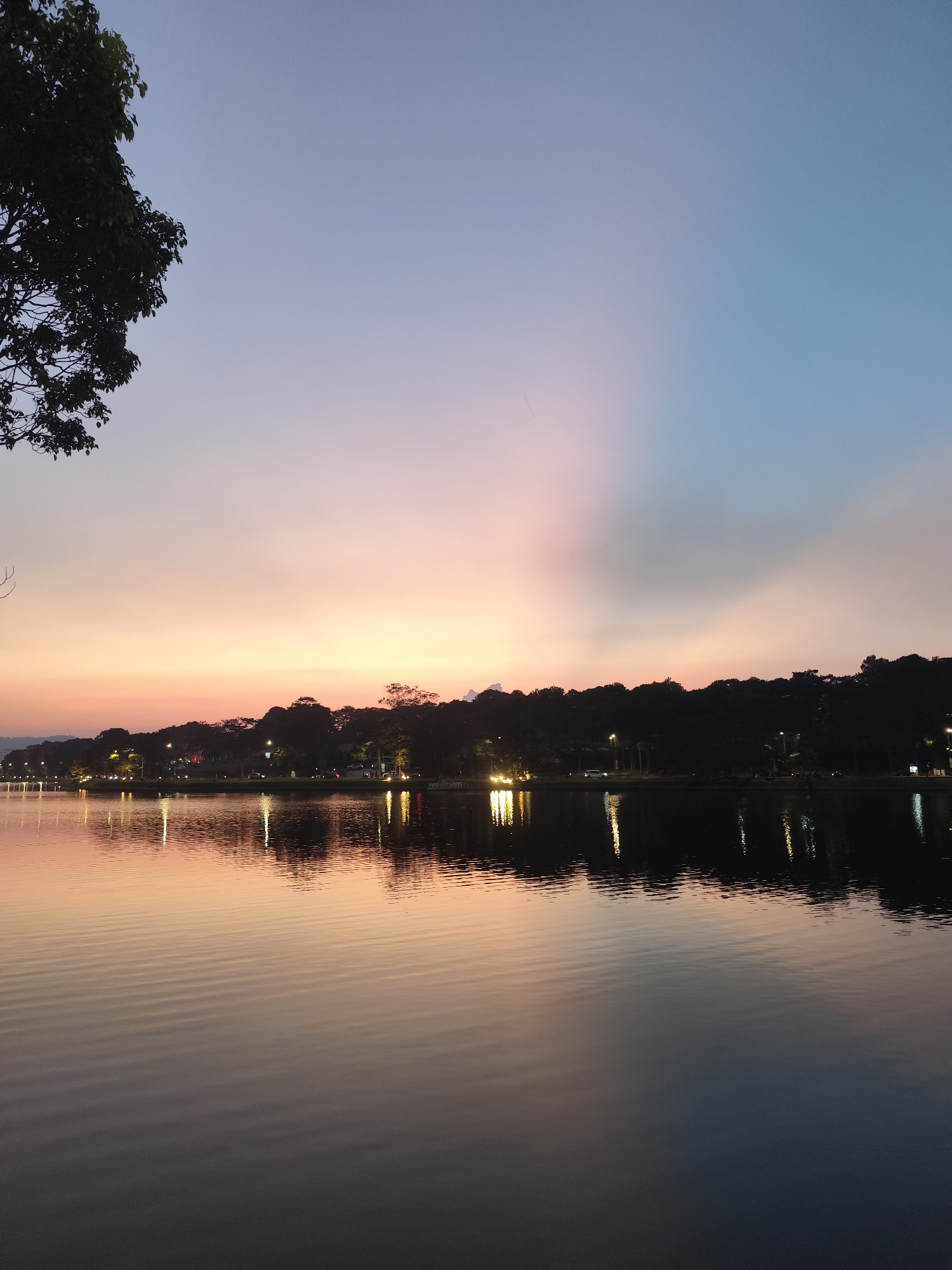The image shows a tranquil landscape at dusk. In the foreground is a large body of water, its surface rippled with gentle waves that reflect the colors of the sky and lights from the opposite shore. The sky exhibits a gradient of colors, transitioning from a soft orange near the horizon to pink and then to a light blue at the top of the frame. A series of dark trees line the water's edge. Lights are scattered along the shoreline. A tree branch is visible on the left of the photo.
The scene depicts Xuan Huong Lake in Da Lat, Vietnam.