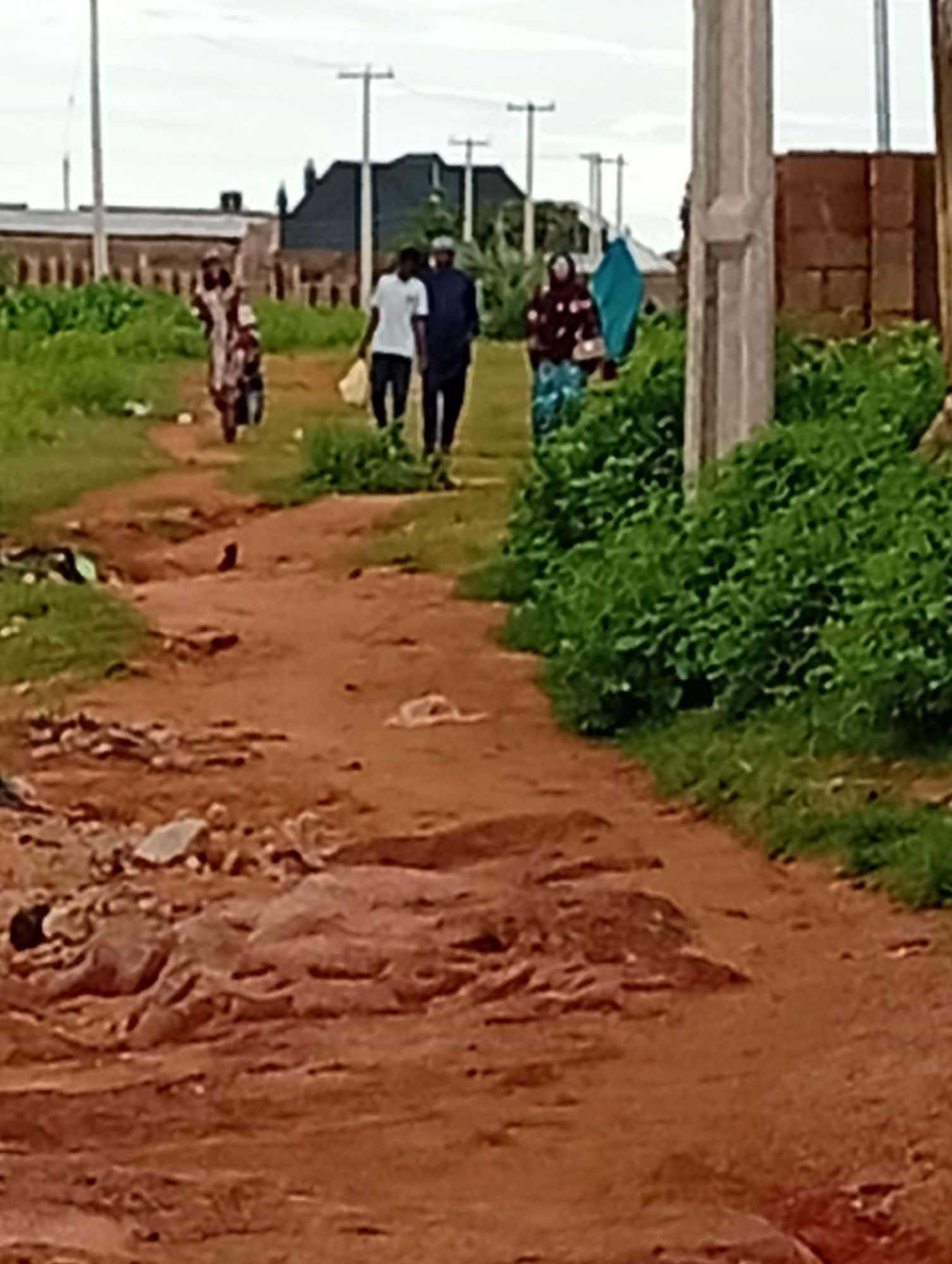 In Wuro Dole, Nigeria, a dirt path winds through a semi-developed area. The path is uneven, with exposed rocks and reddish-brown soil. On the left side of the path, green grass grows sporadically, interspersed with scattered debris. In the background, several people are walking along the path. A woman in a patterned dress walks in the foreground, followed by a man in a white t-shirt carrying a light-colored bag. Behind them, another man in a dark shirt and a woman in a patterned headscarf and skirt walk together. A turquoise object, possibly a piece of cloth or fabric, is visible near the woman in the headscarf. Further back, the outline of buildings with dark roofs can be seen against a cloudy sky. Telephone poles with wires dot the horizon. On the right side of the path, lush green vegetation abuts the path, and a concrete pillar stands prominently. Beyond the vegetation, a wall constructed of bricks is partially visible. The scene suggests a residential or developing area in a rural or semi-urban setting.