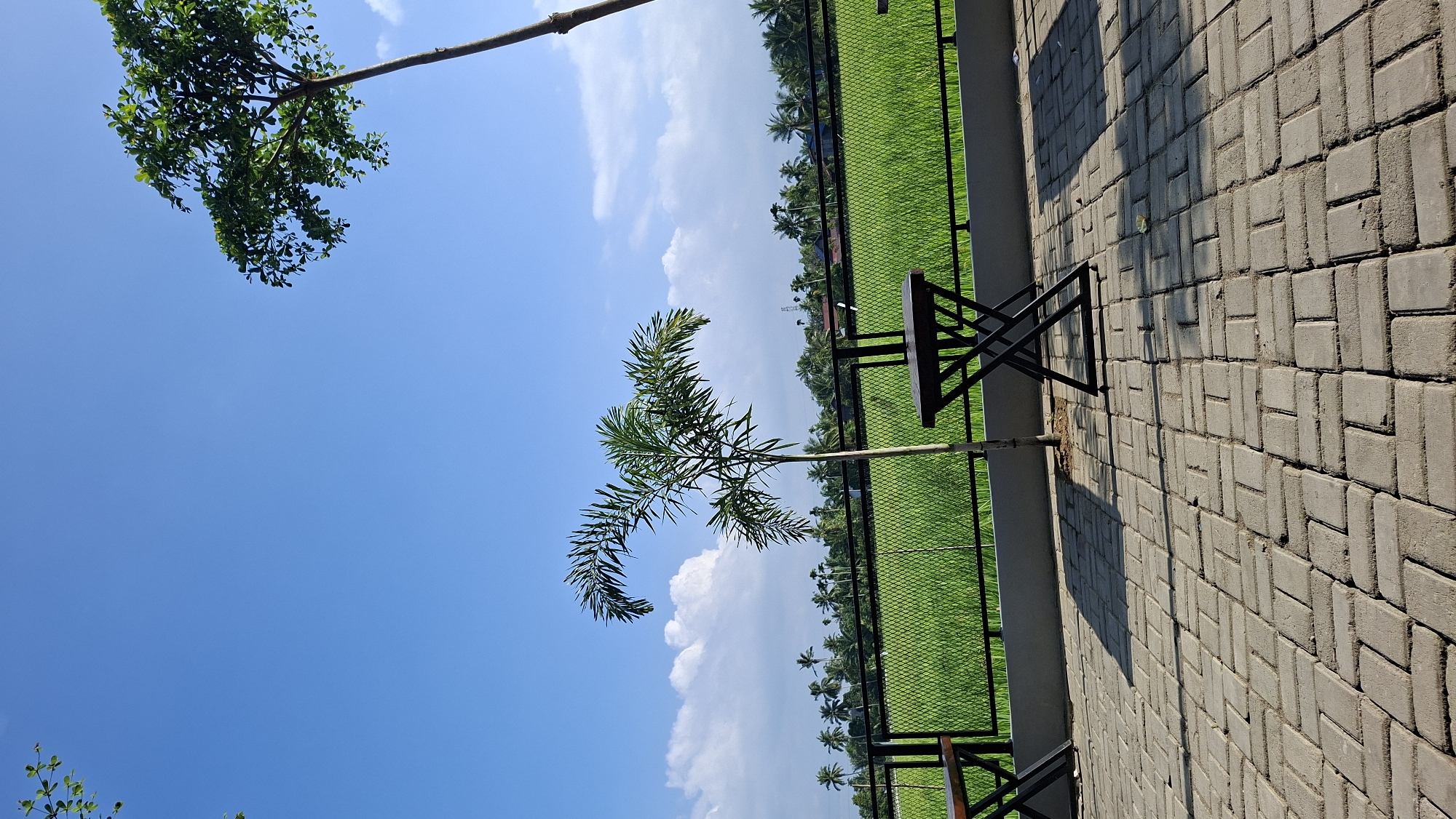 A full shot shows a paved patio area with two chairs and a table set up, looking out over a vibrant green rice paddy under a clear blue sky with scattered white clouds. The patio is paved with interlocking gray rectangular bricks, and a black metal fence separates it from the rice field. A young palm tree stands in front of the fence, and to the right, the trunk of a larger tree extends upwards out of frame. In the distance, beyond the rice paddy, a line of tropical trees and some buildings are visible. The scene appears to be located in Keudebayu, Indonesia, suggesting a rural or semi-rural setting. There are no people visible in the image, and the lighting suggests it is daytime.