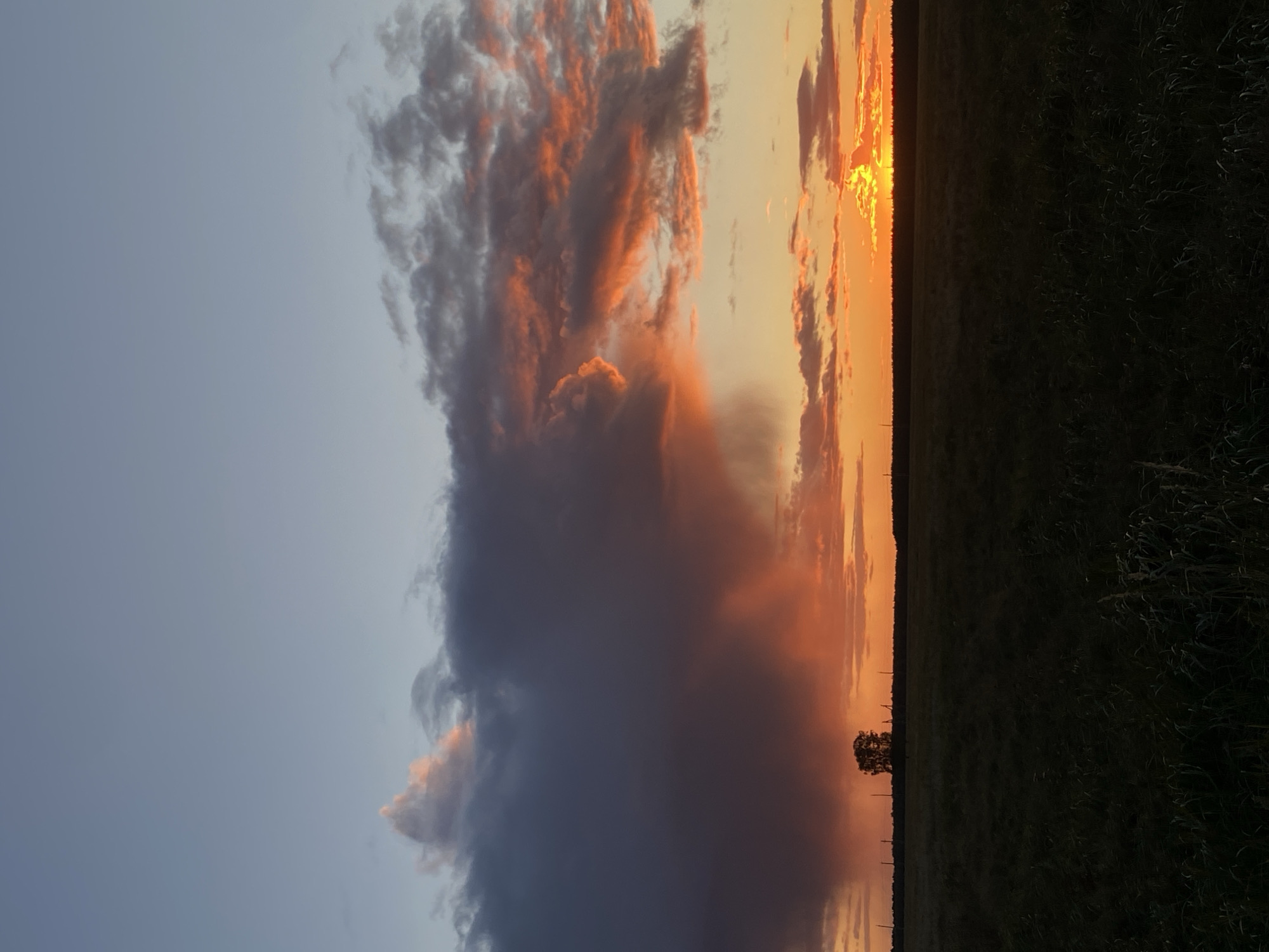 The image depicts a dramatic sunset over a rural landscape in Лесной ауылдық округі, Kazakhstan. The sky is a gradient of soft blues at the top, transitioning to vibrant oranges and reds near the horizon. Dark, heavy clouds dominate the left side of the frame, with shafts of rain seemingly falling from them, illuminated by the sunset's glow. To the right, thinner clouds are tinged with fiery orange and pink.
A solitary tree stands silhouetted against the vibrant sky in the middle distance, positioned on the left side of the image. Below the sky, a dark, silhouetted field stretches across the foreground, its texture obscured by the low light. A faint line of trees or a forest borders the horizon, also rendered in silhouette. A few distant utility poles are visible along this treeline. The overall impression is one of a powerful natural event unfolding in a remote, open space.