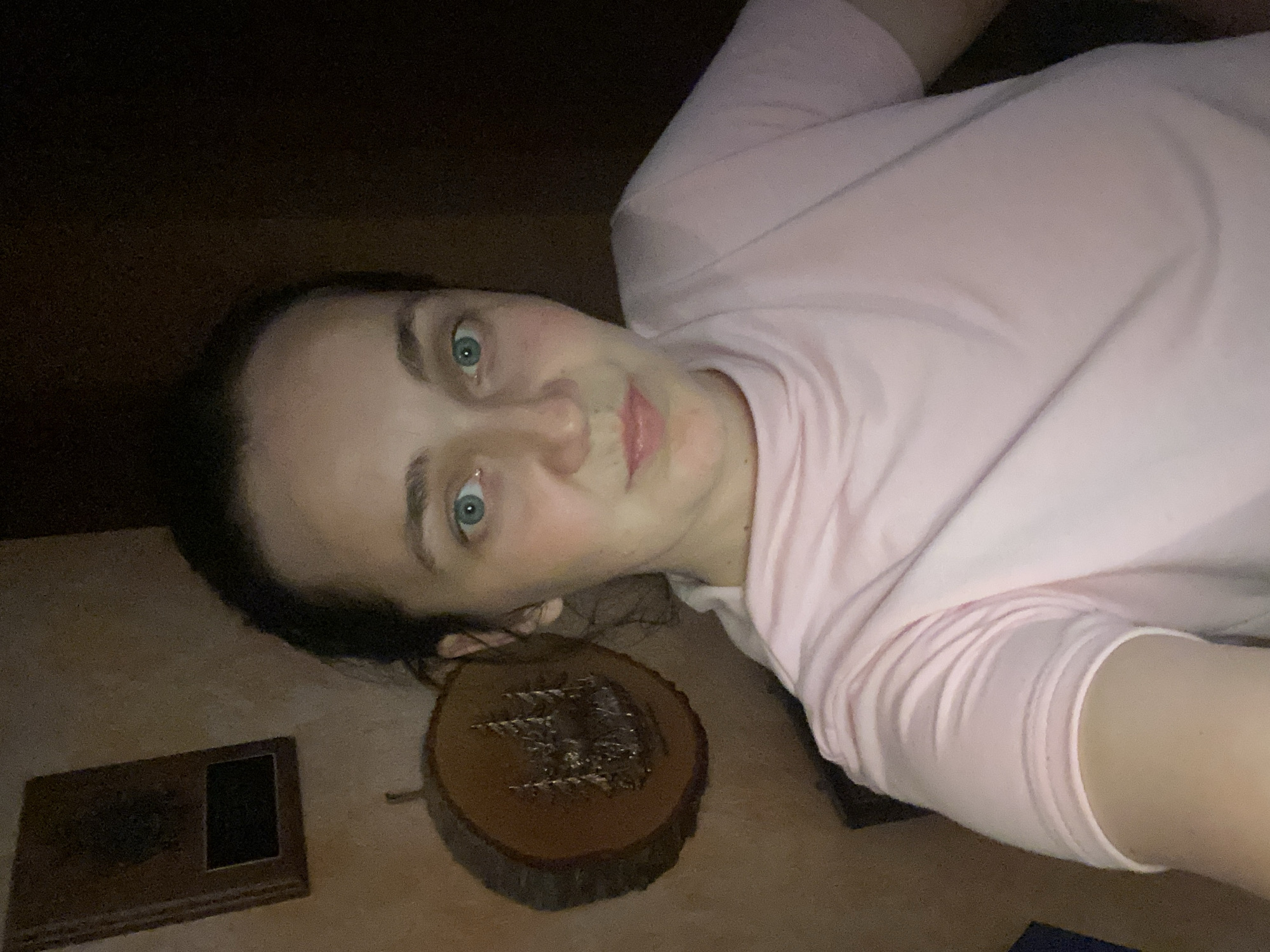 A woman with dark hair and blue eyes is taking a selfie in a dimly lit room. She is wearing a pink t-shirt. Behind her, to the left, is a wooden plaque with an image carved into it. To the left of that is another wooden decoration with a carving of trees. The background is dark and appears to be wood paneling. The overall scene is dimly lit and lacks clear environmental context.